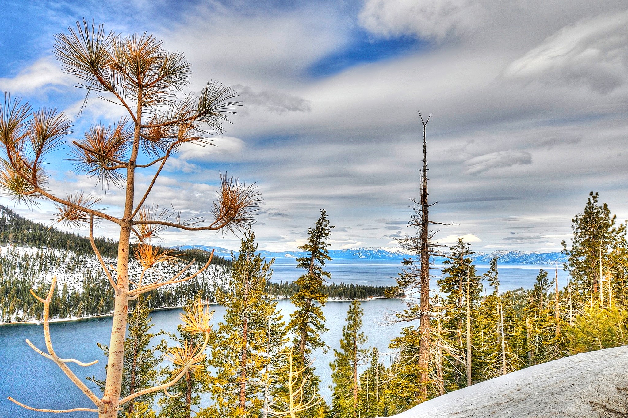 Lake Tahoe Scenery with Pine Trees and Snow HD Wallpaper