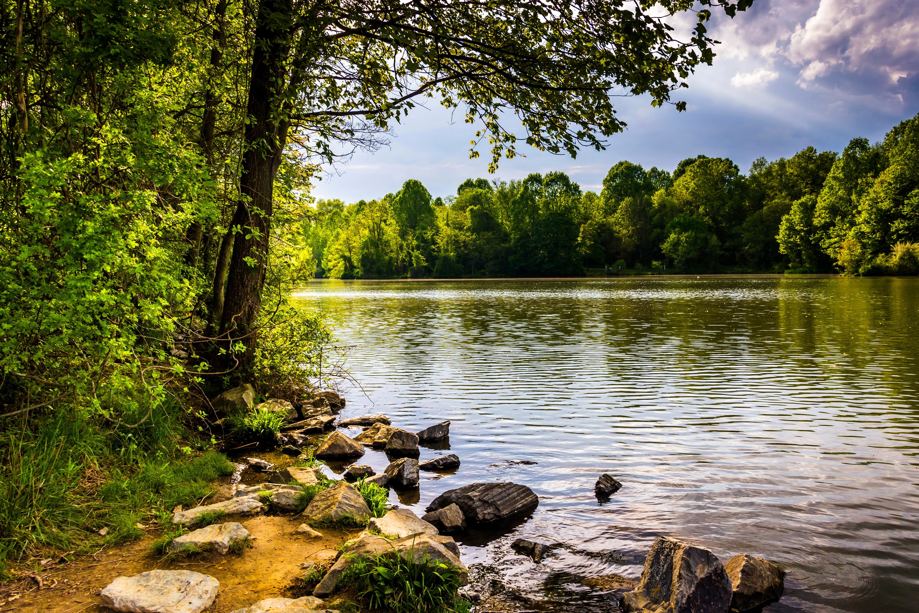 Centennial Lake with Stones and Forests in USA HD Wallpaper