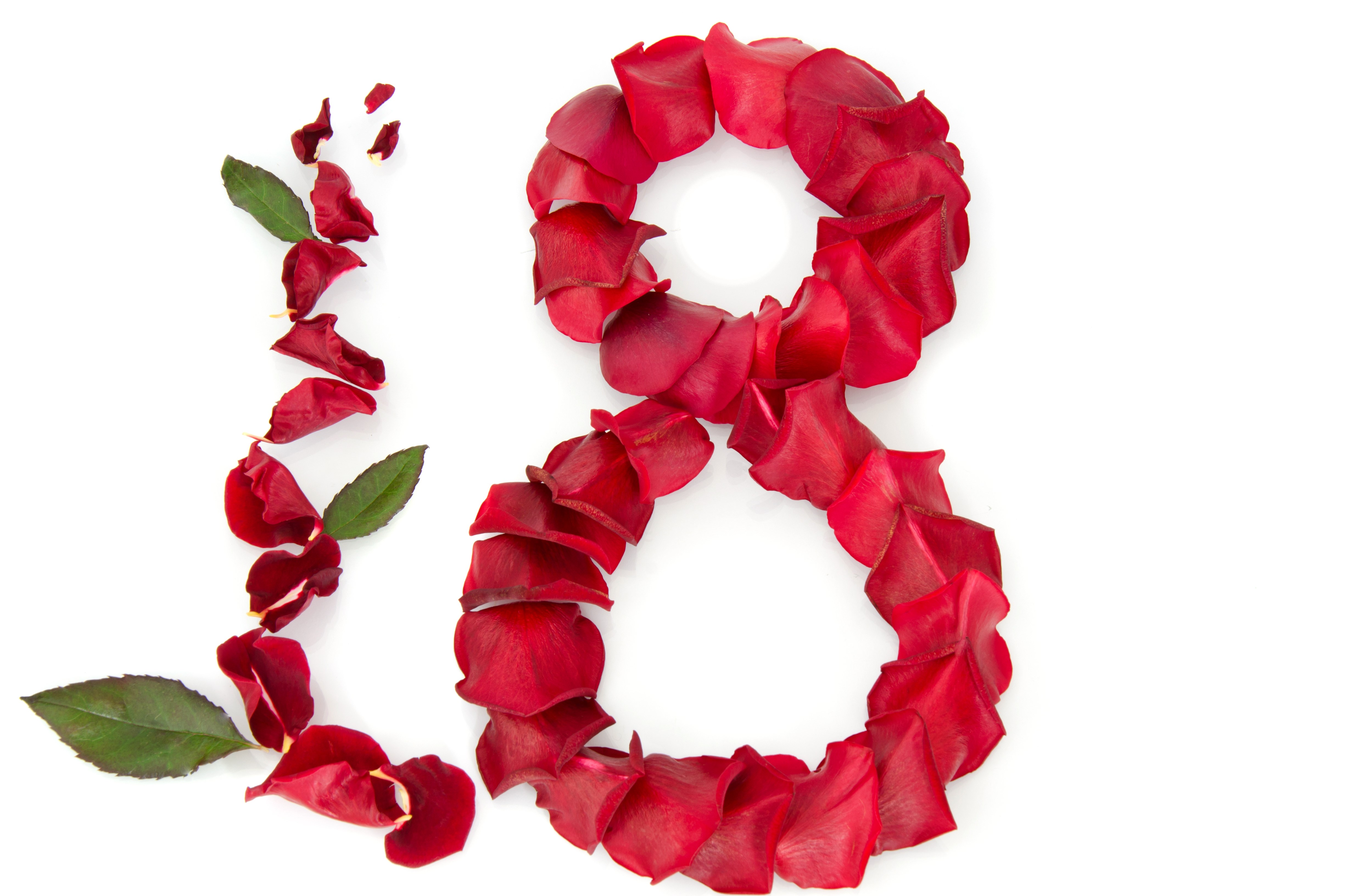 Number 8 made of red rose petals and leaves HD Wallpaper