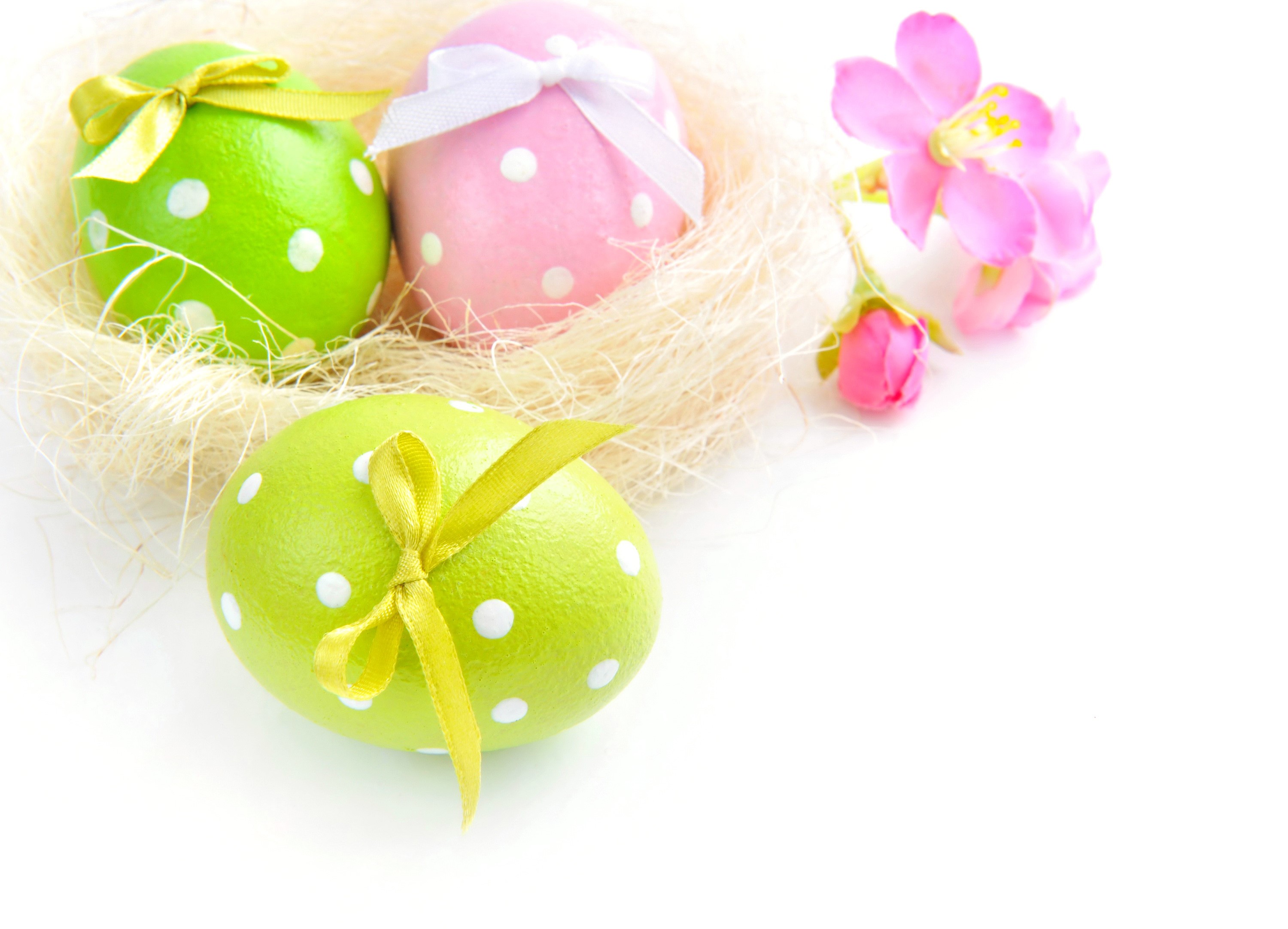 Easter eggs in a nest with flowers HD Wallpaper