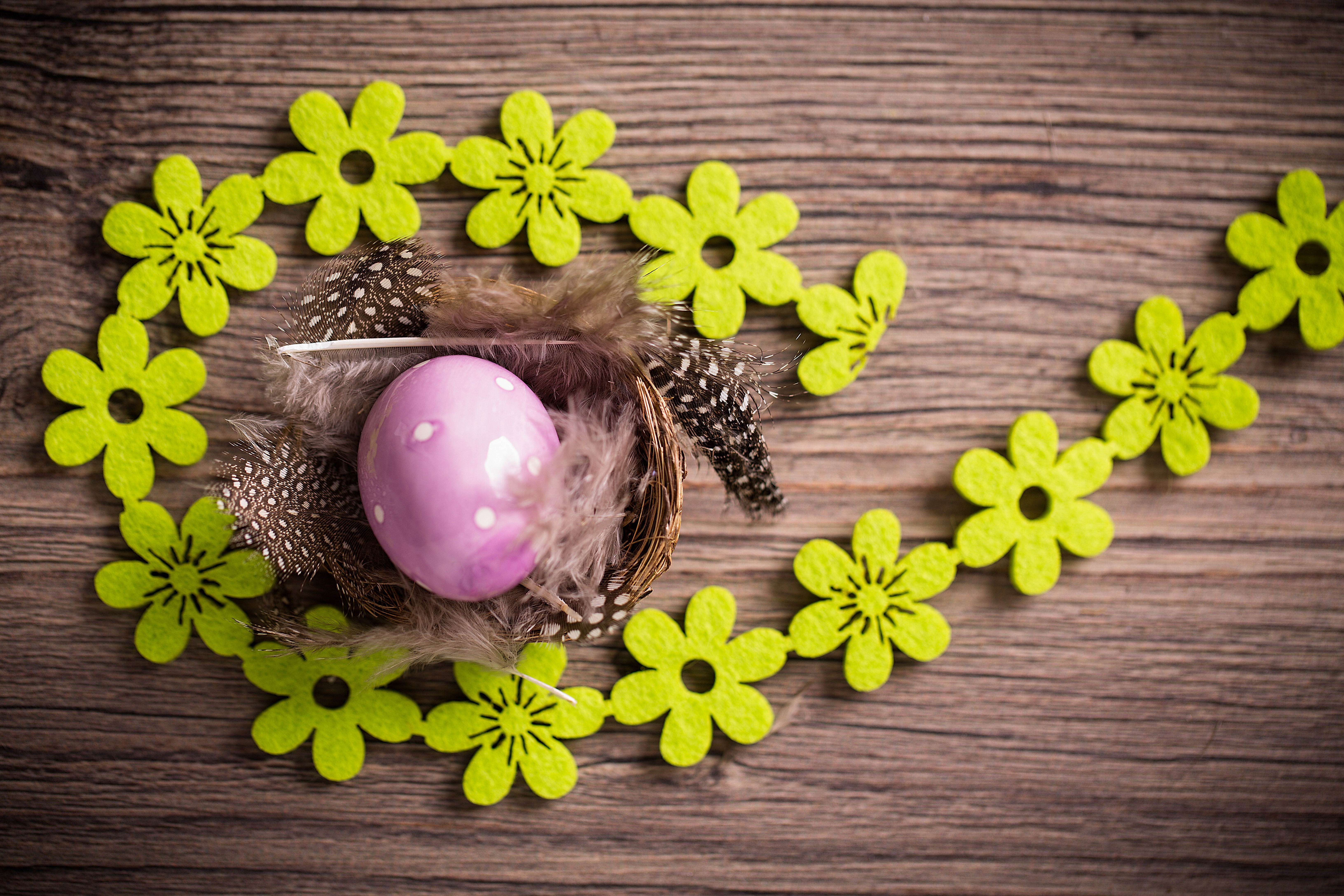 Easter egg in a nest with feathers and flower garland HD Wallpaper
