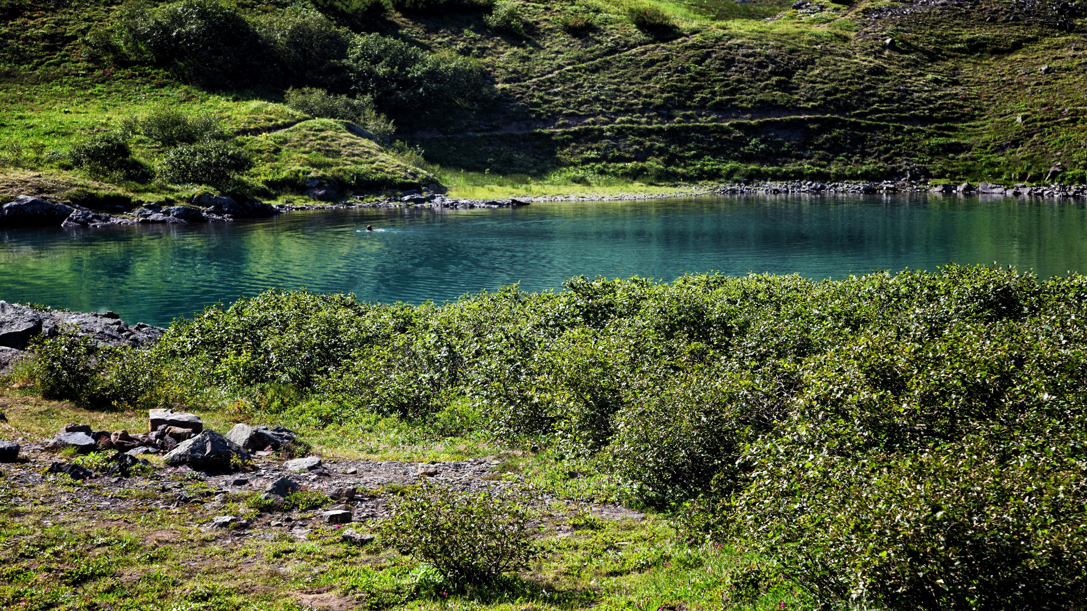 Lake with shrubs and grassy hills HD Wallpaper