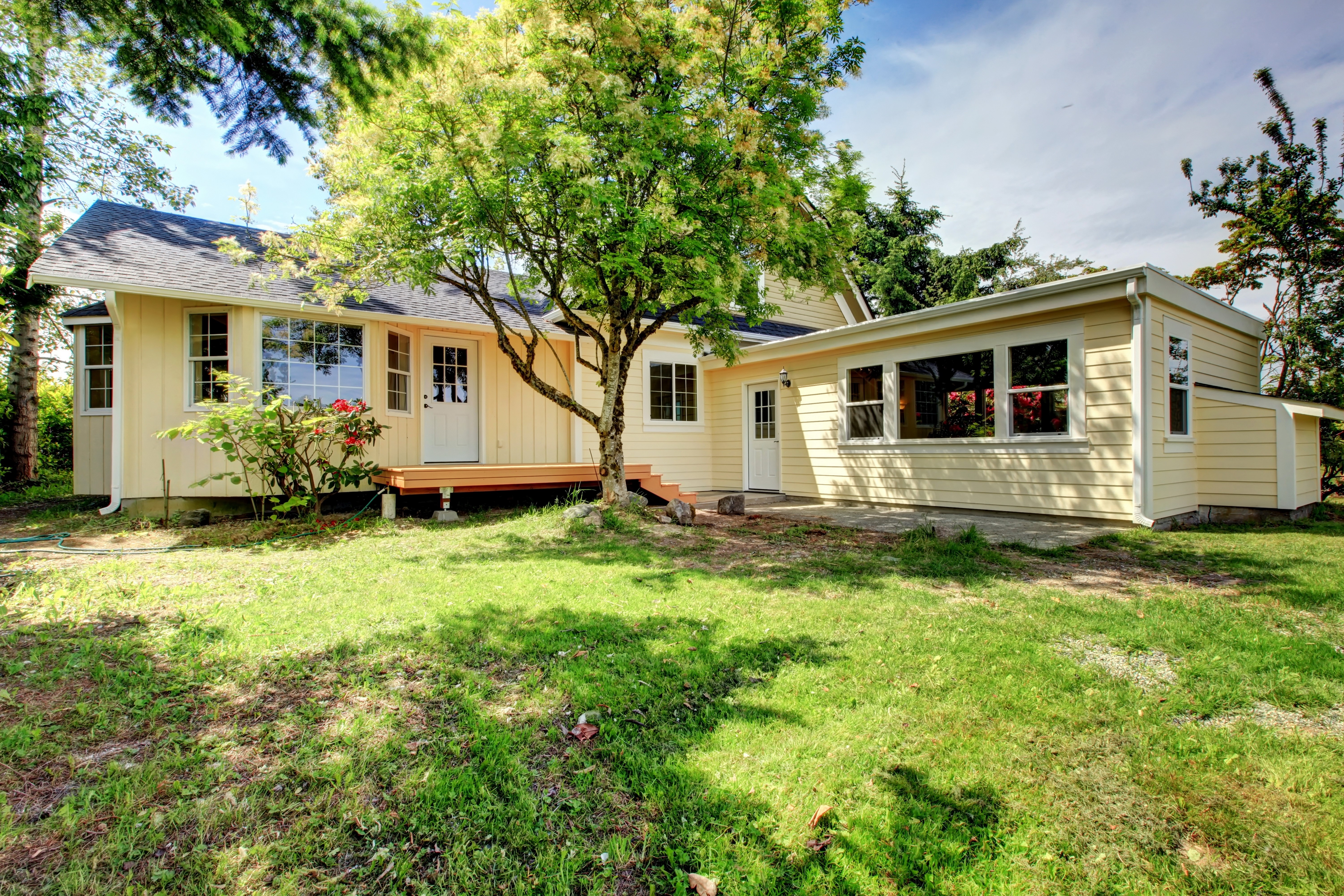 Yellow house with deck and large tree HD Wallpaper