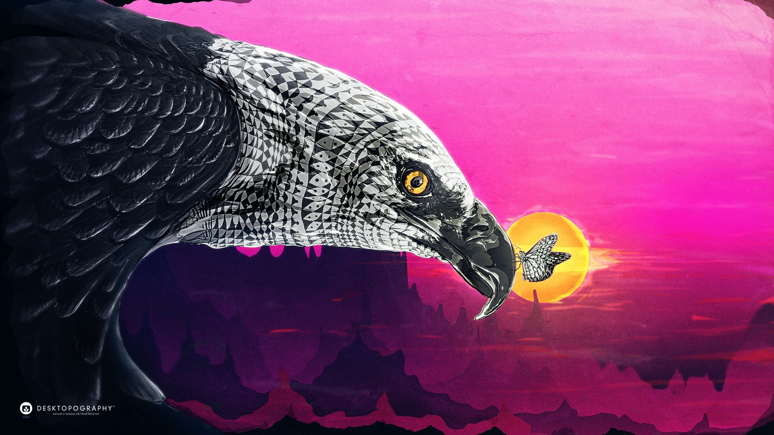 Eagle and butterfly against a vibrant sunset HD Wallpaper
