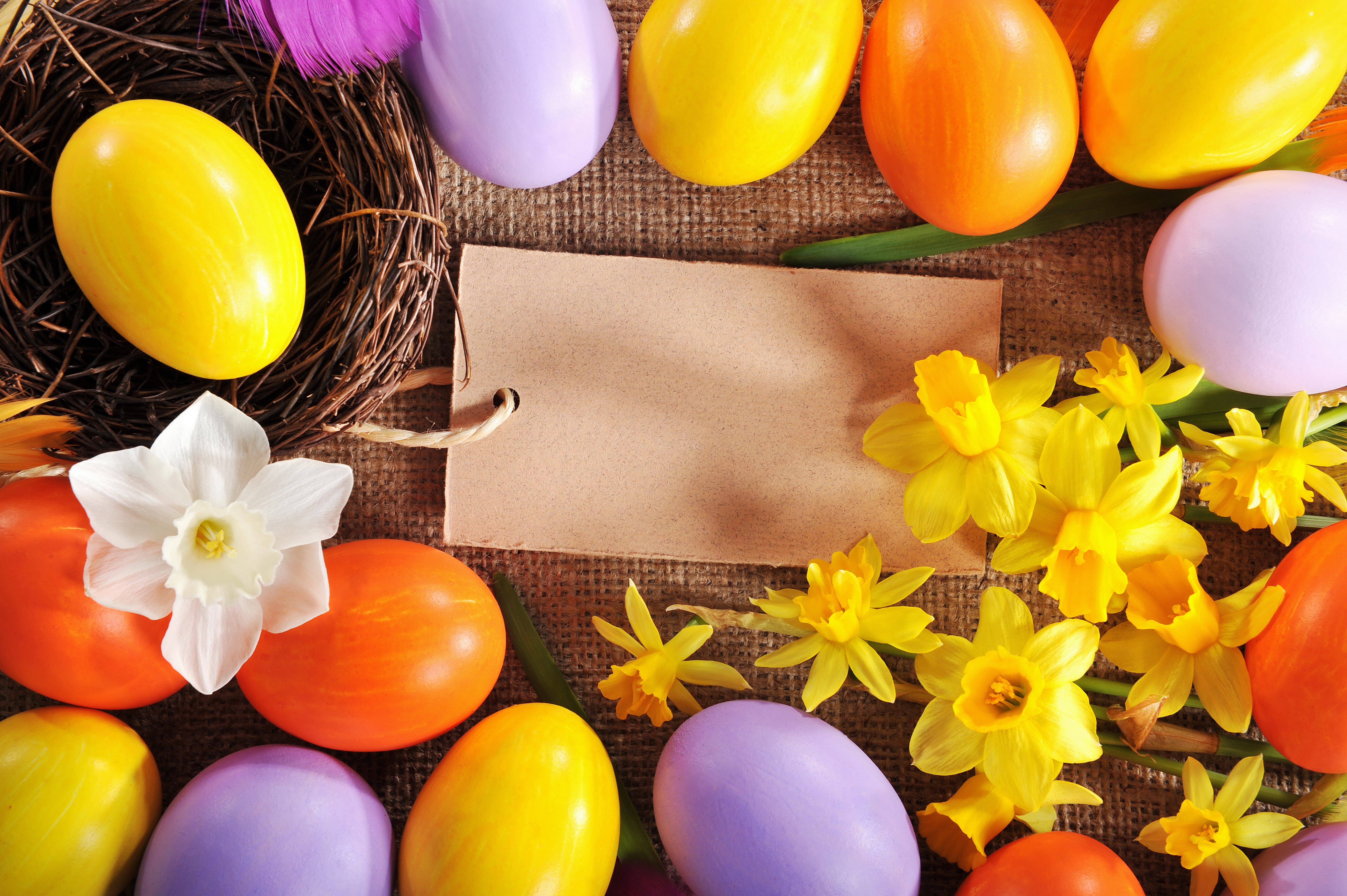 Easter Eggs and Daffodils with a Blank Tag HD Wallpaper