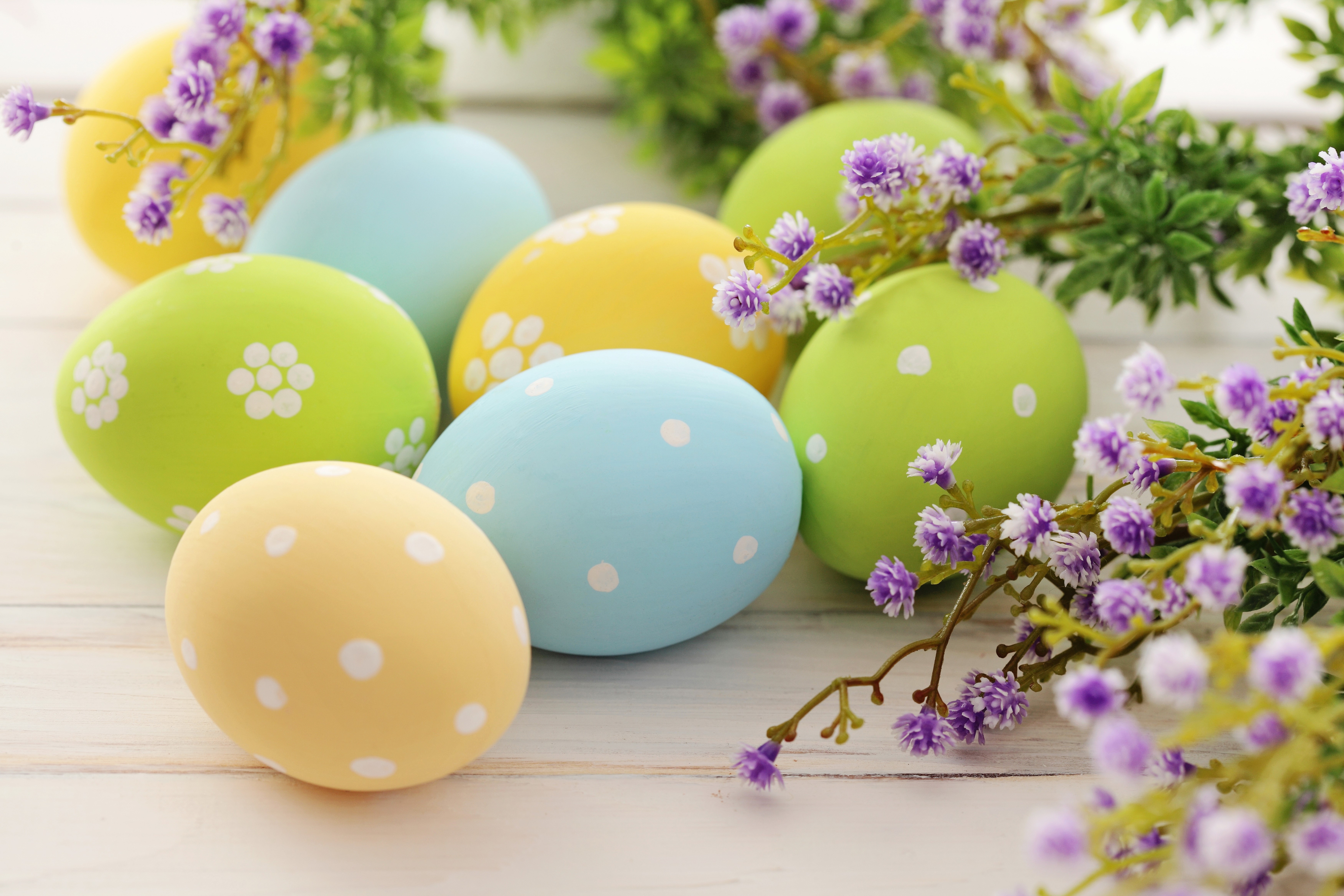 Easter Eggs with Purple Flowers HD Wallpaper
