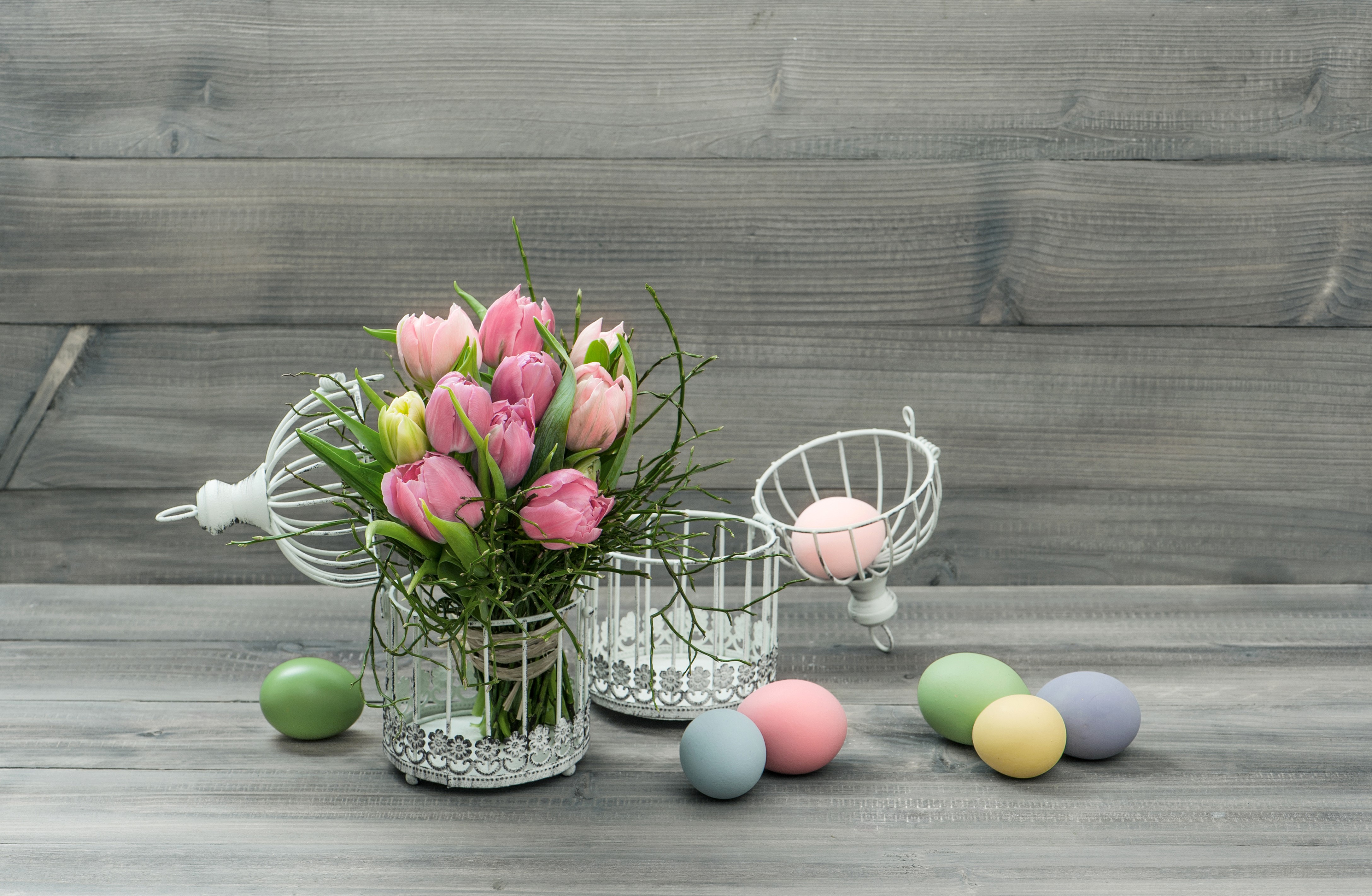 Easter Tulips and Eggs with Decorative Cages HD Wallpaper
