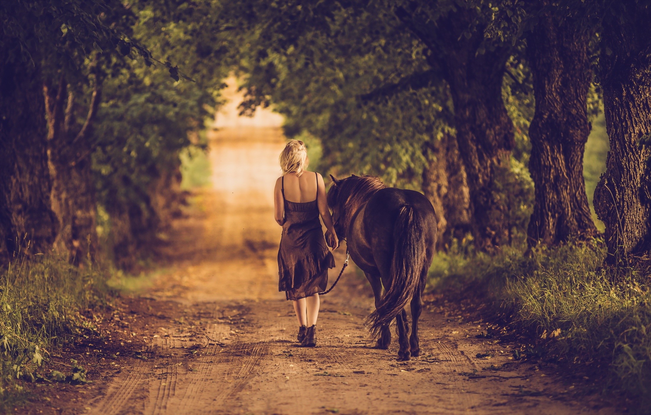 Woman walking with a horse on a dirt road HD Wallpaper