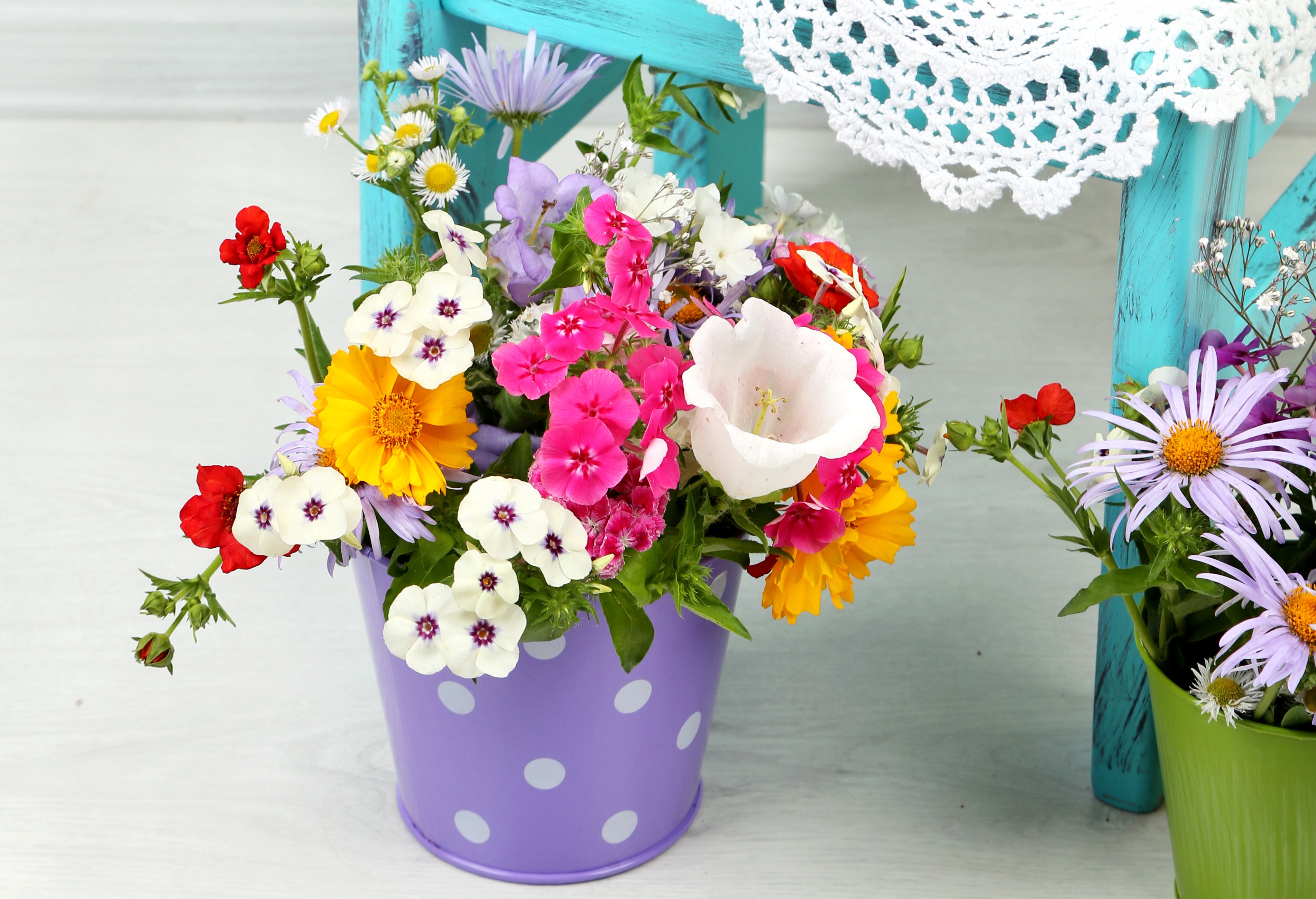 Colorful wildflowers in polka dot buckets HD Wallpaper