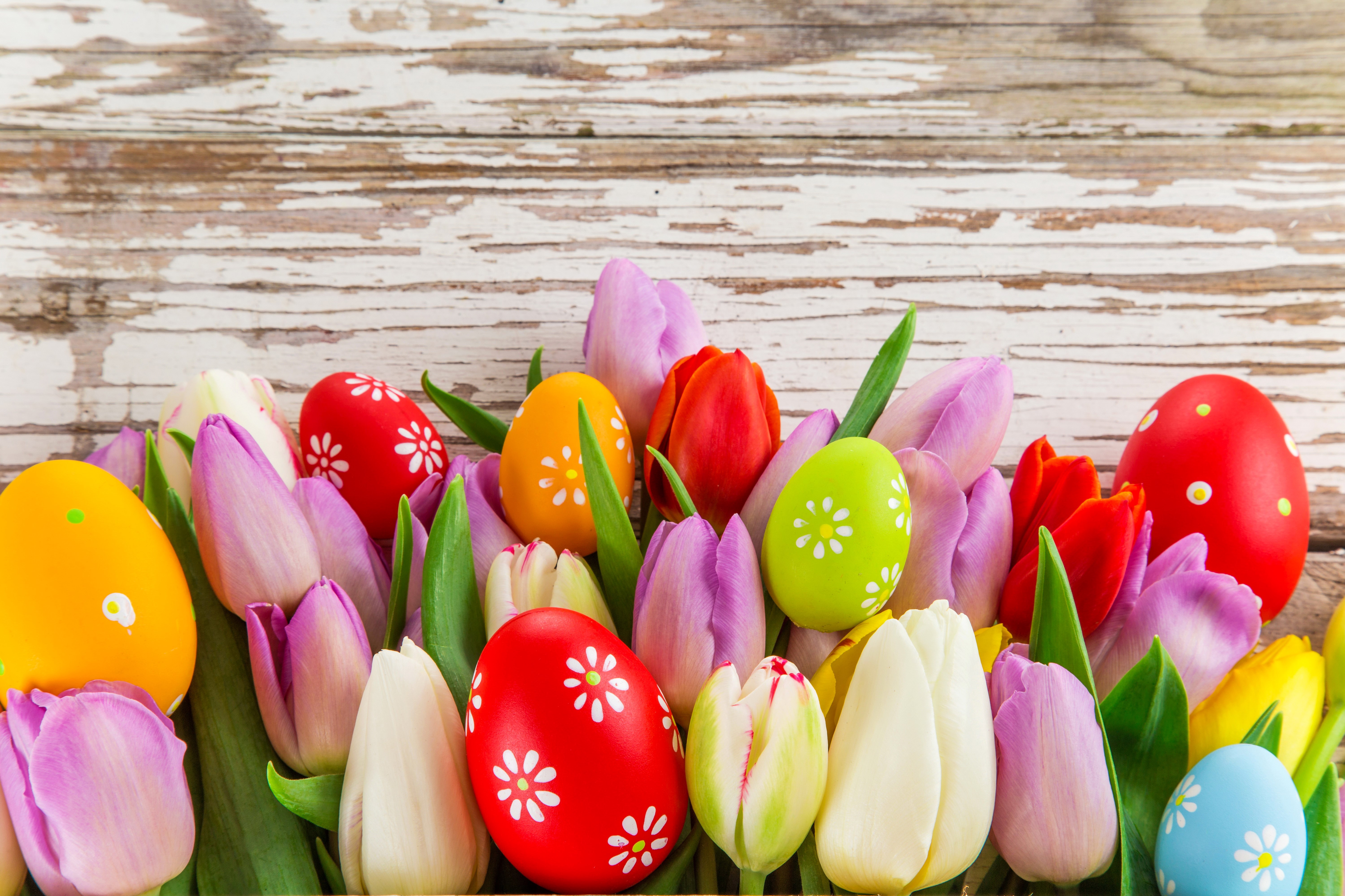 Easter Eggs and Tulips on Wooden Background HD Wallpaper