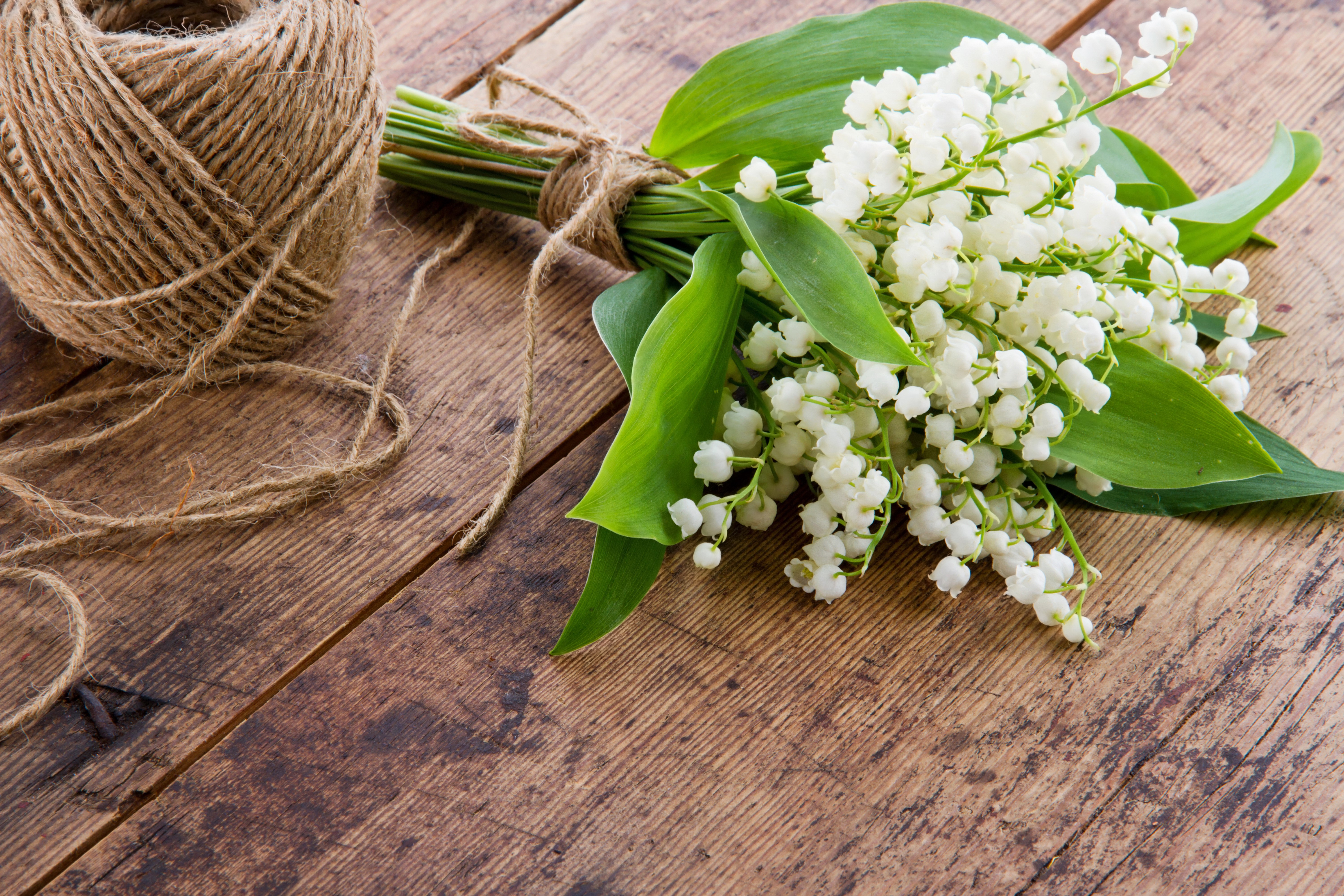 Lily of the valley bouquet with twine on wooden table HD Wallpaper