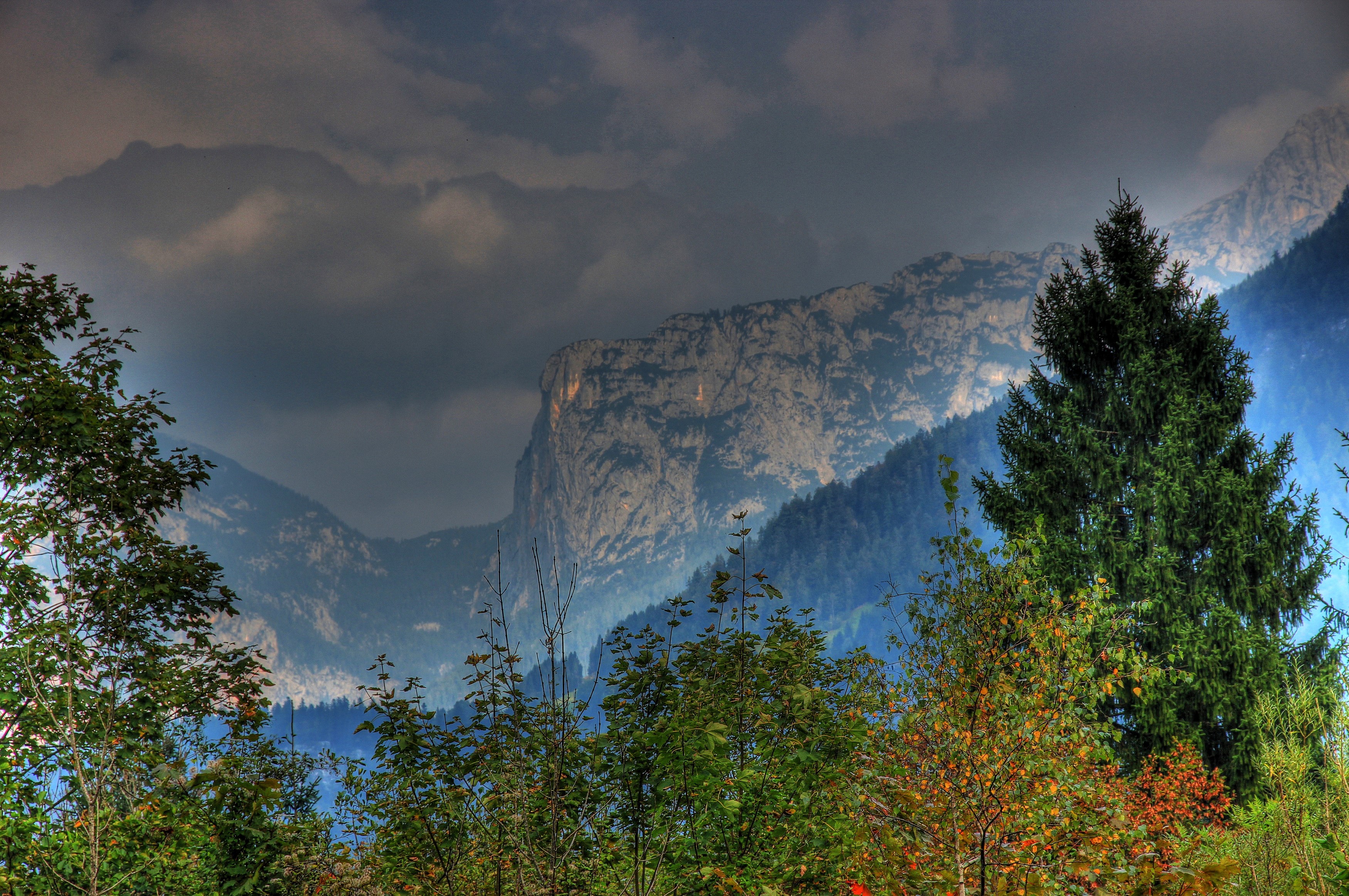 Mountains and trees in Austria HD Wallpaper