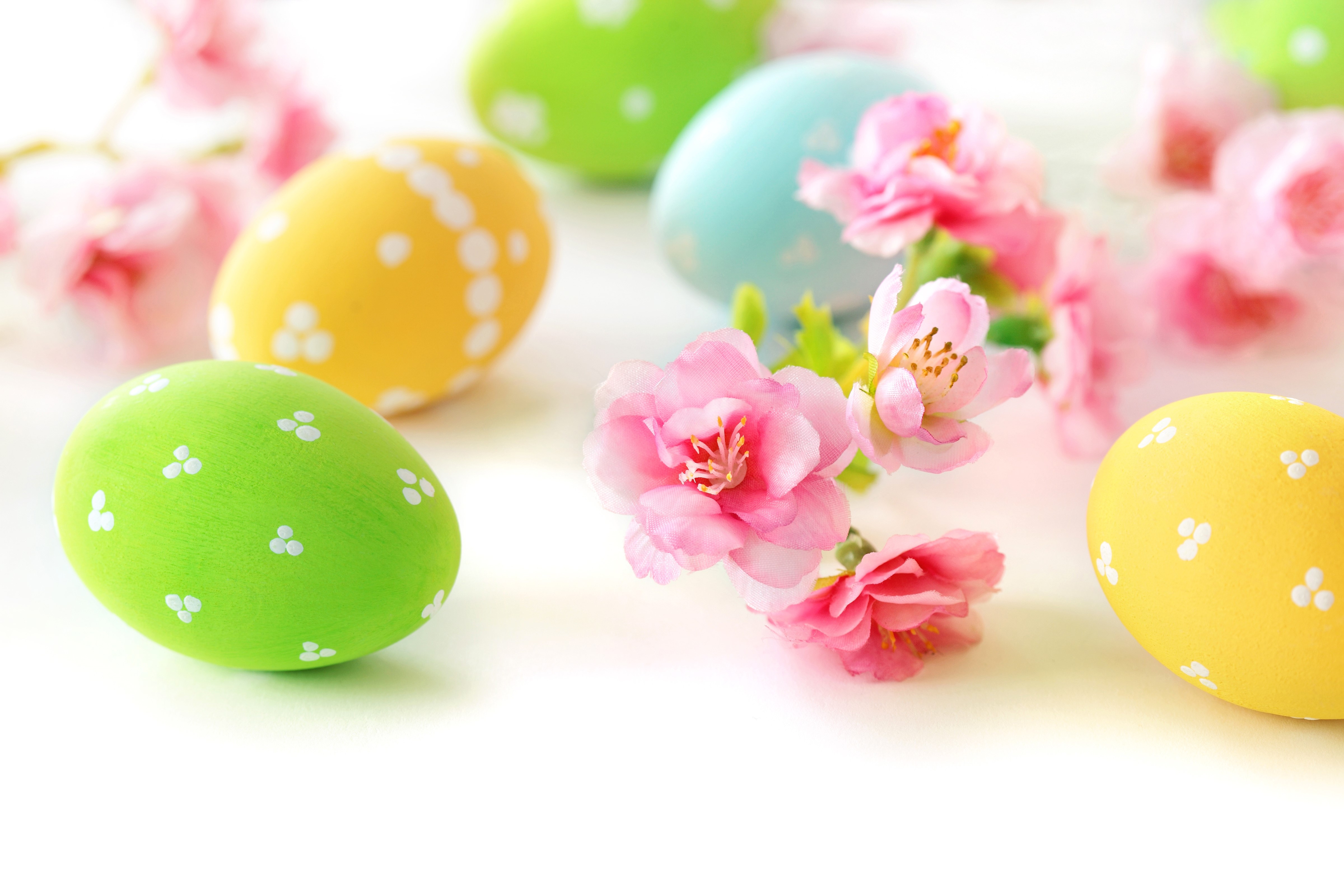 Easter Eggs with Pink Flowers HD Wallpaper