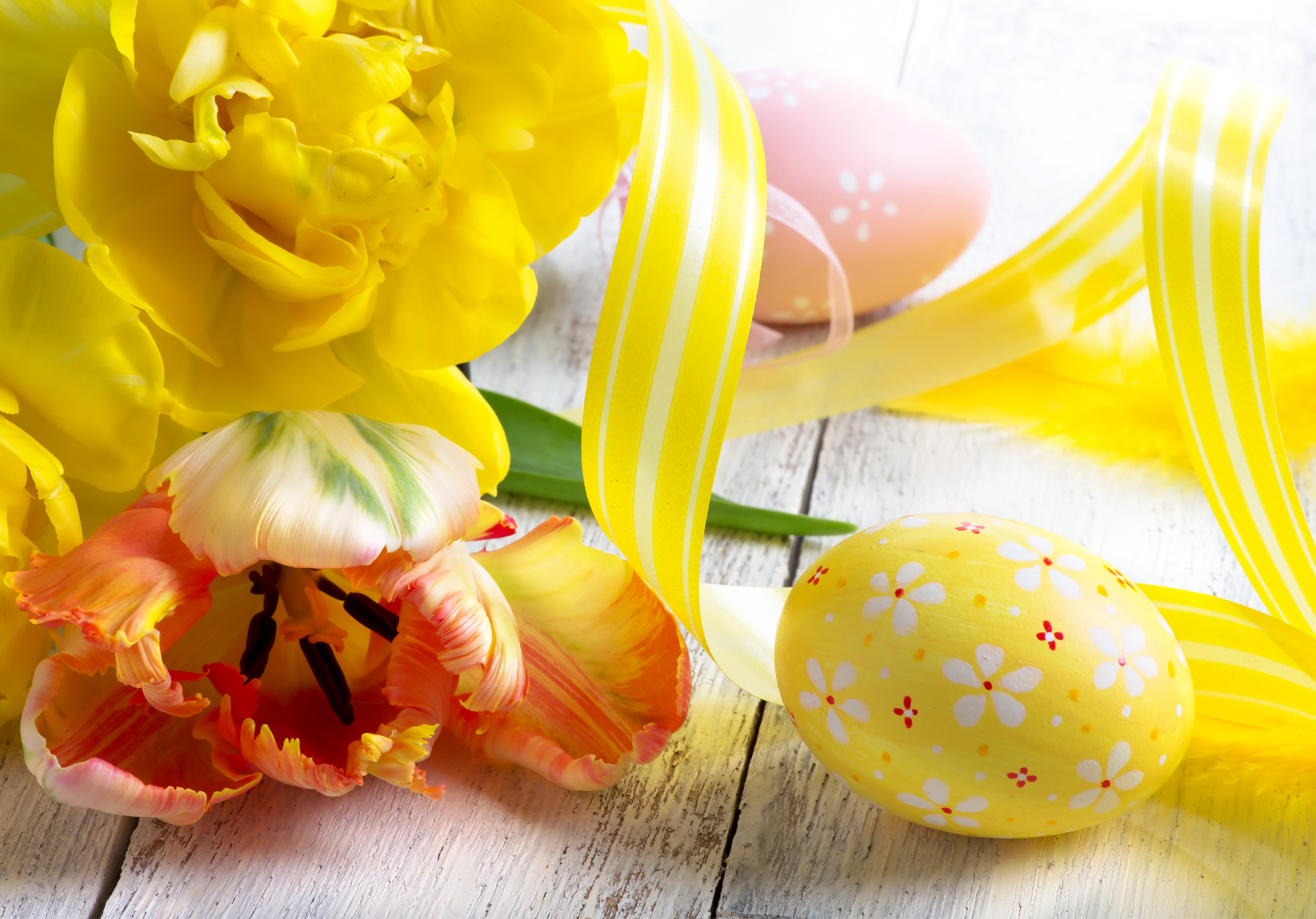 Easter Tulips and Decorated Eggs with Yellow Ribbon HD Wallpaper