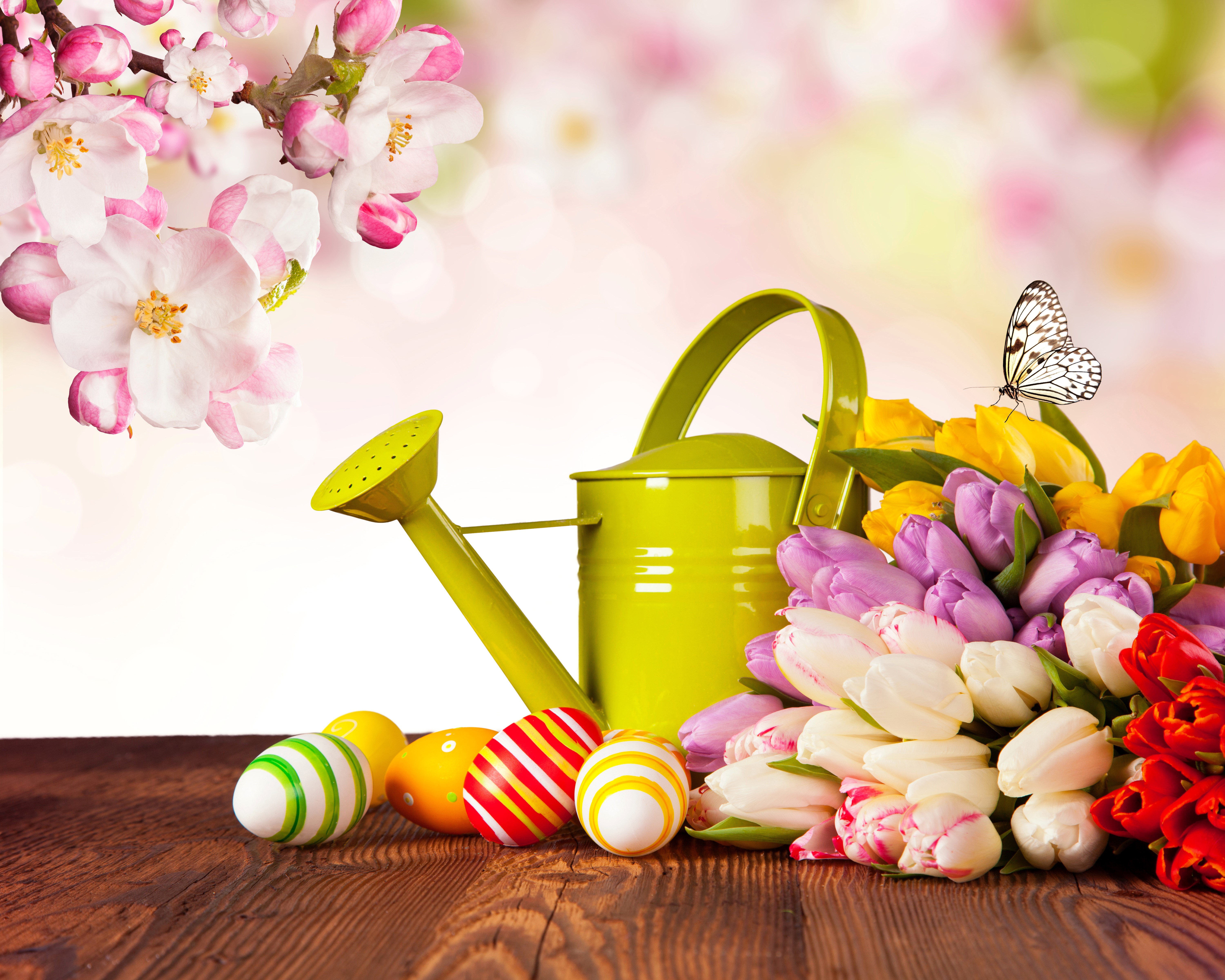 Easter Tulips, Butterflies, and Eggs with Watering Can HD Wallpaper