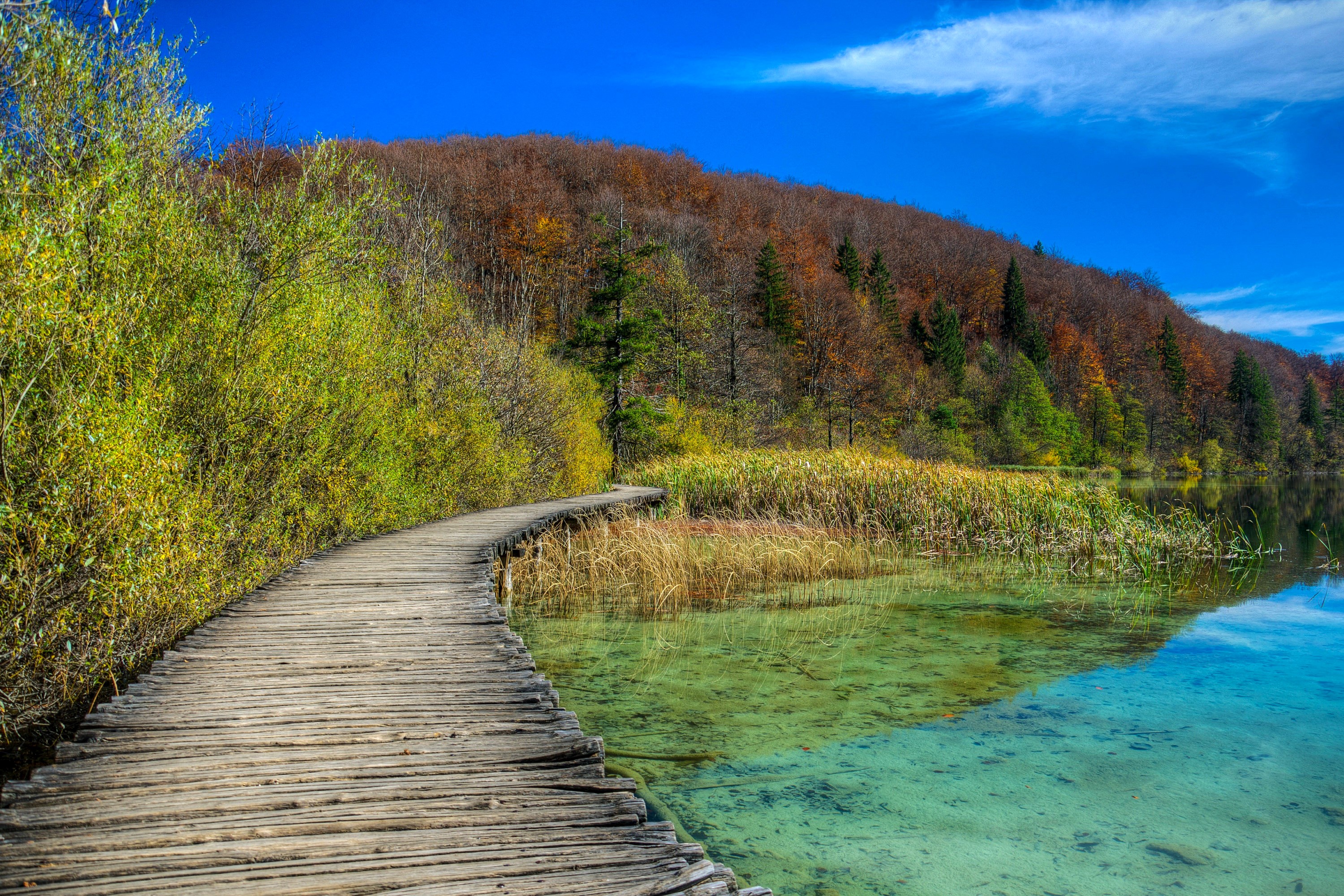 Wooden boardwalk along a clear lake in Plitvice, Croatia HD Wallpaper