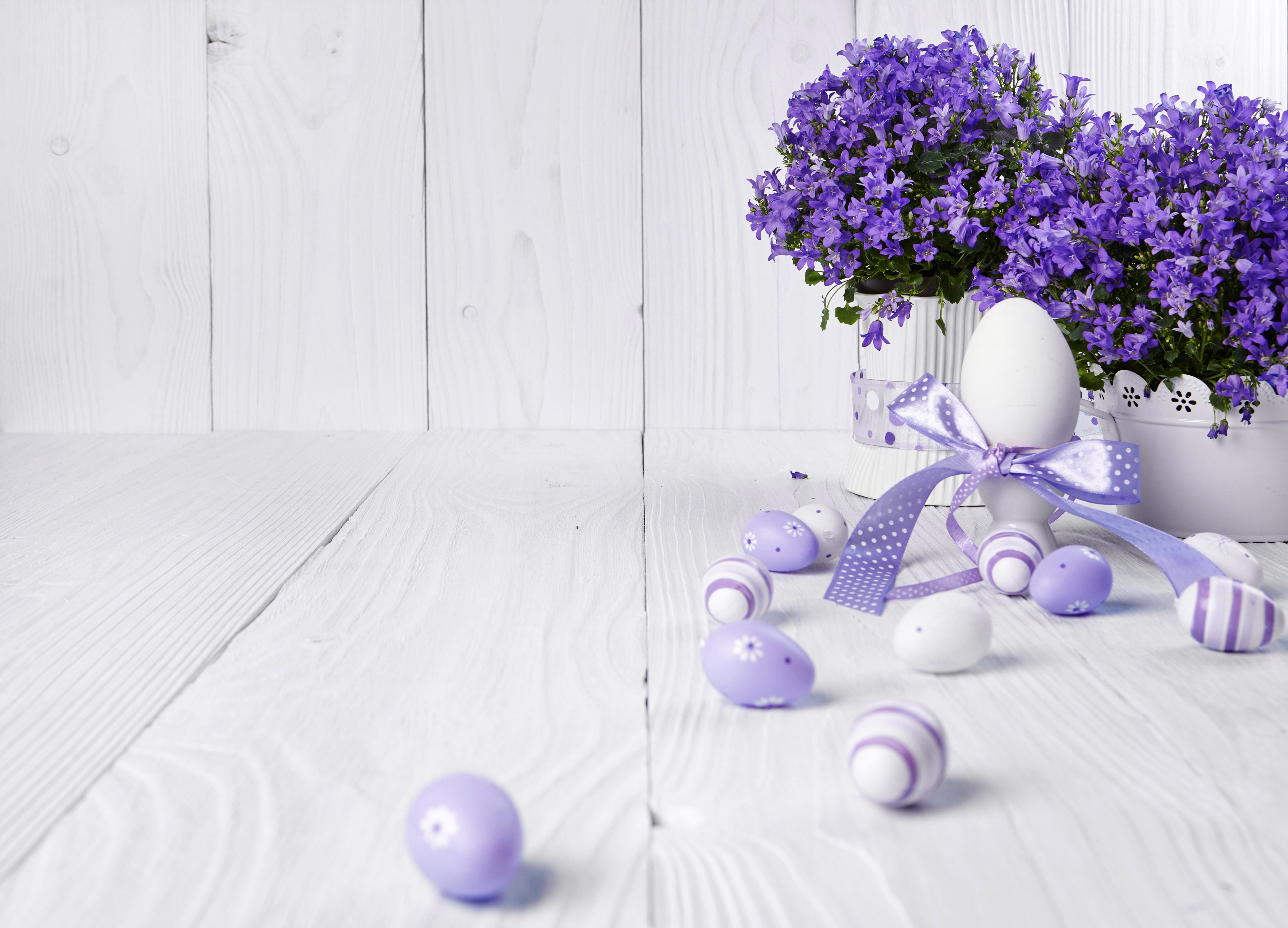 Easter eggs and purple flowers on white wooden background HD Wallpaper