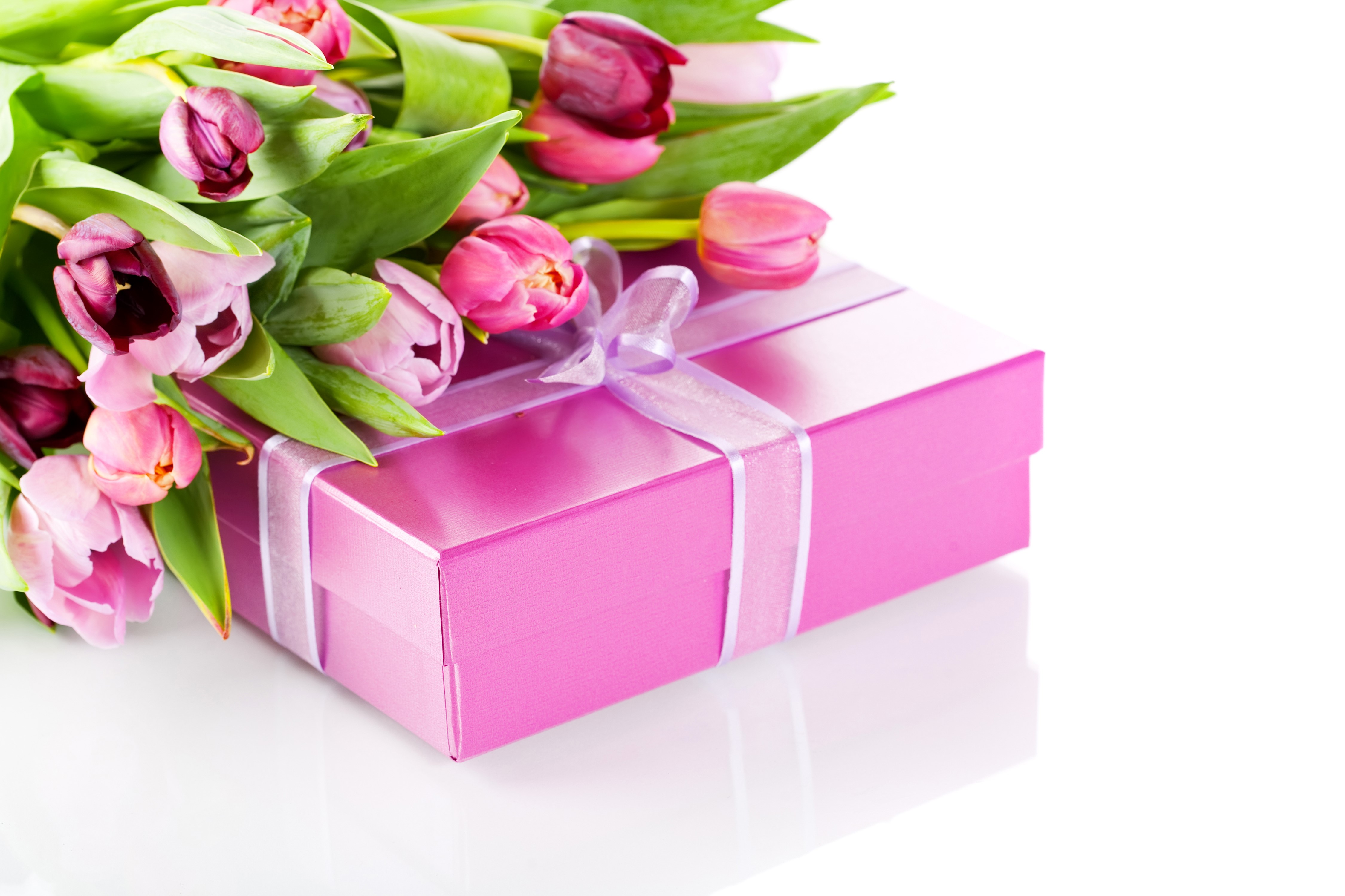 Pink gift box with tulips HD Wallpaper