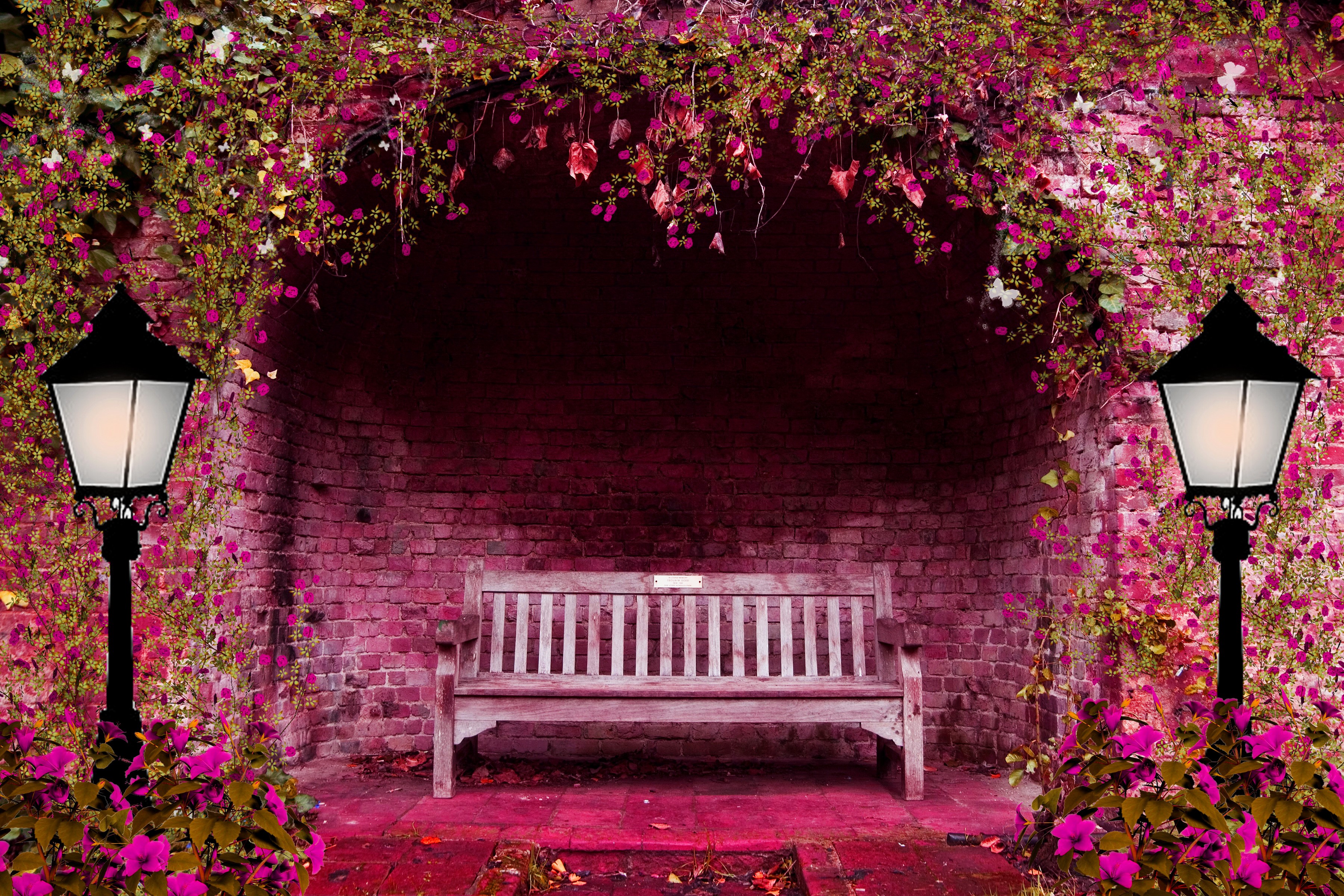 Garden bench with street lights and flowers HD Wallpaper
