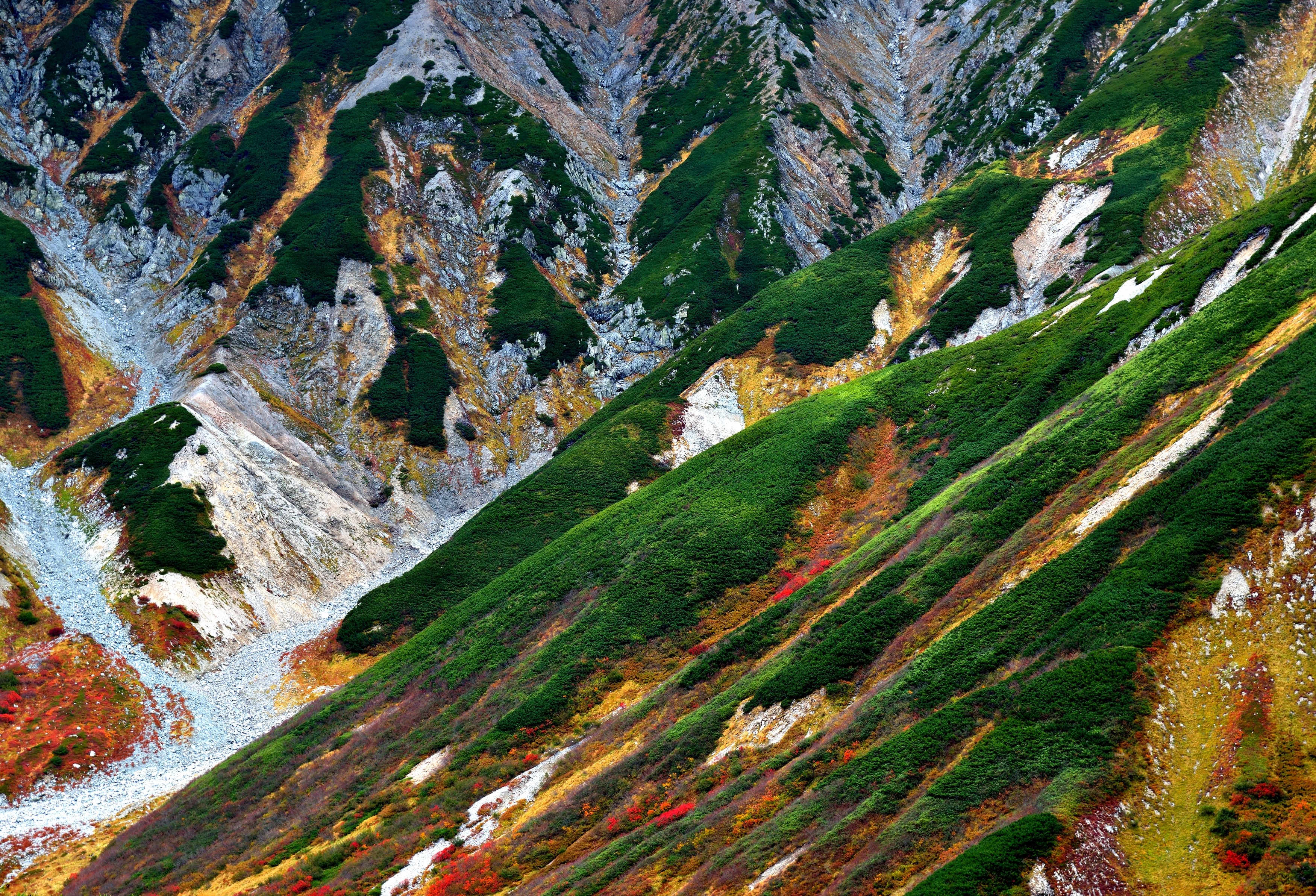 Tateyama Mountains in Japan with Autumn Foliage HD Wallpaper