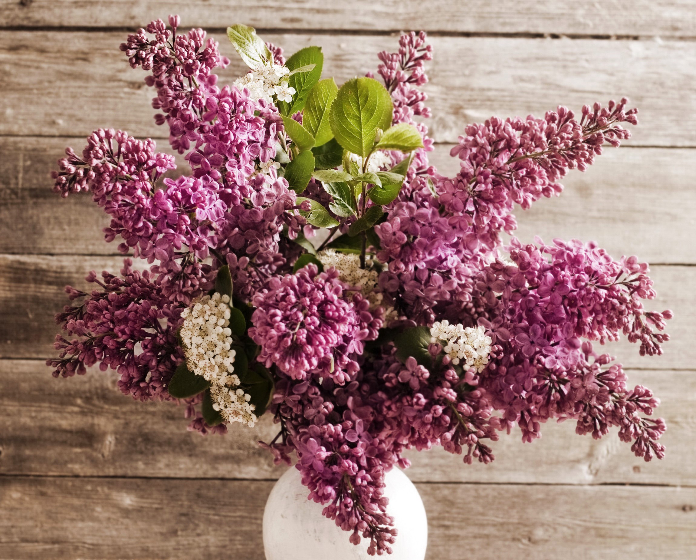 Bouquet of lilacs in a white vase HD Wallpaper