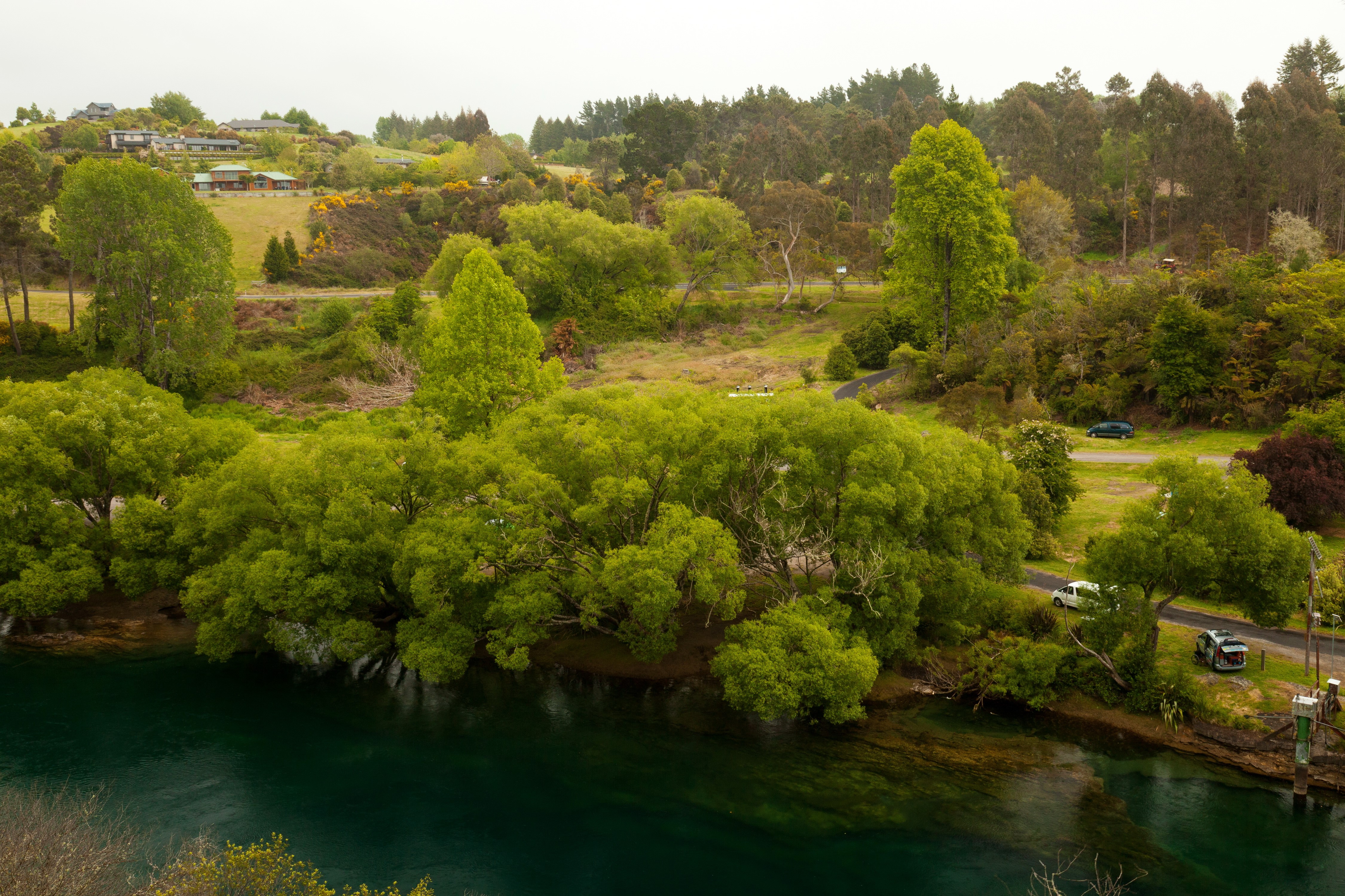 Waikato River, New Zealand with Trees and Houses HD Wallpaper