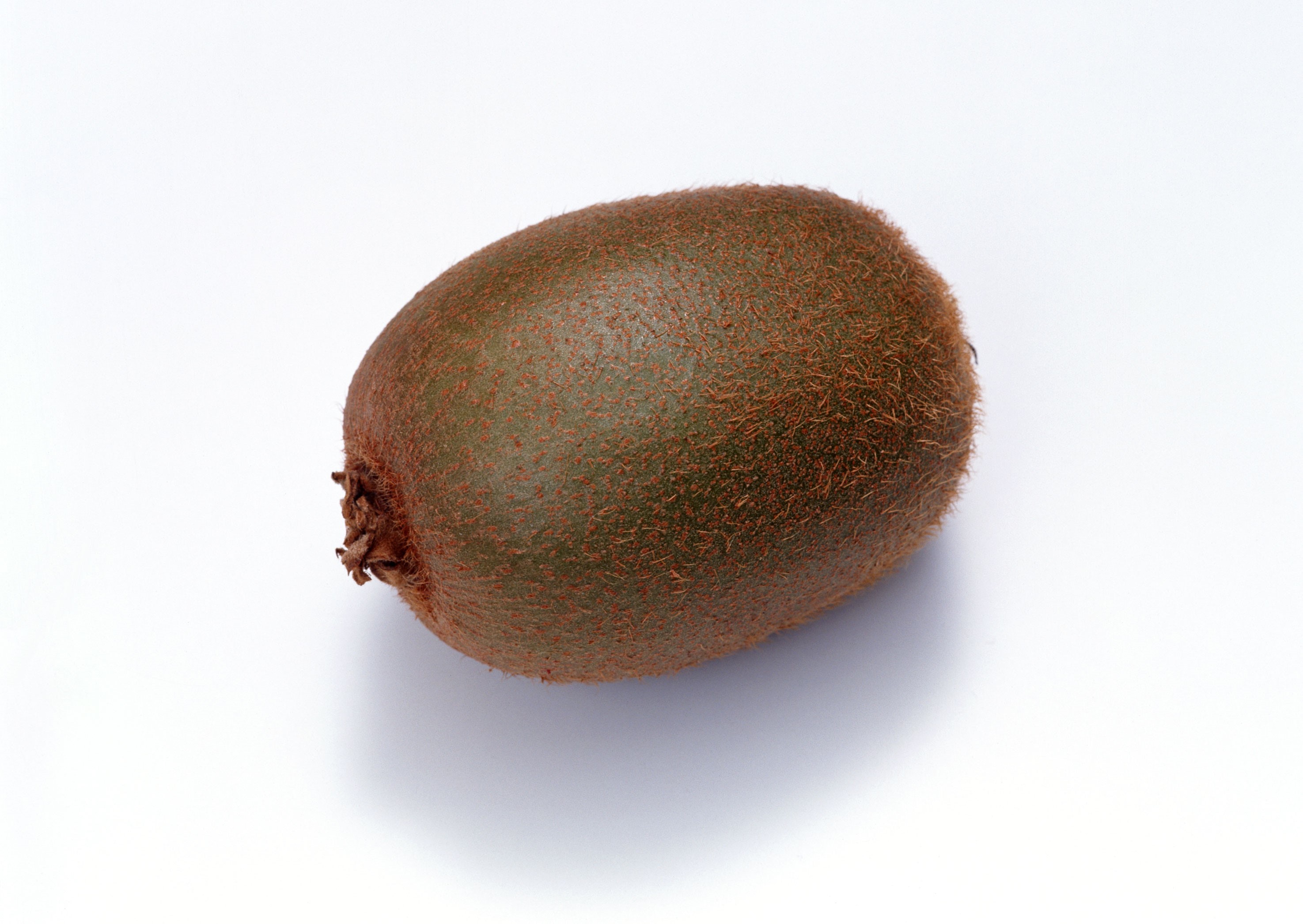 A single kiwi fruit on a white background HD Wallpaper