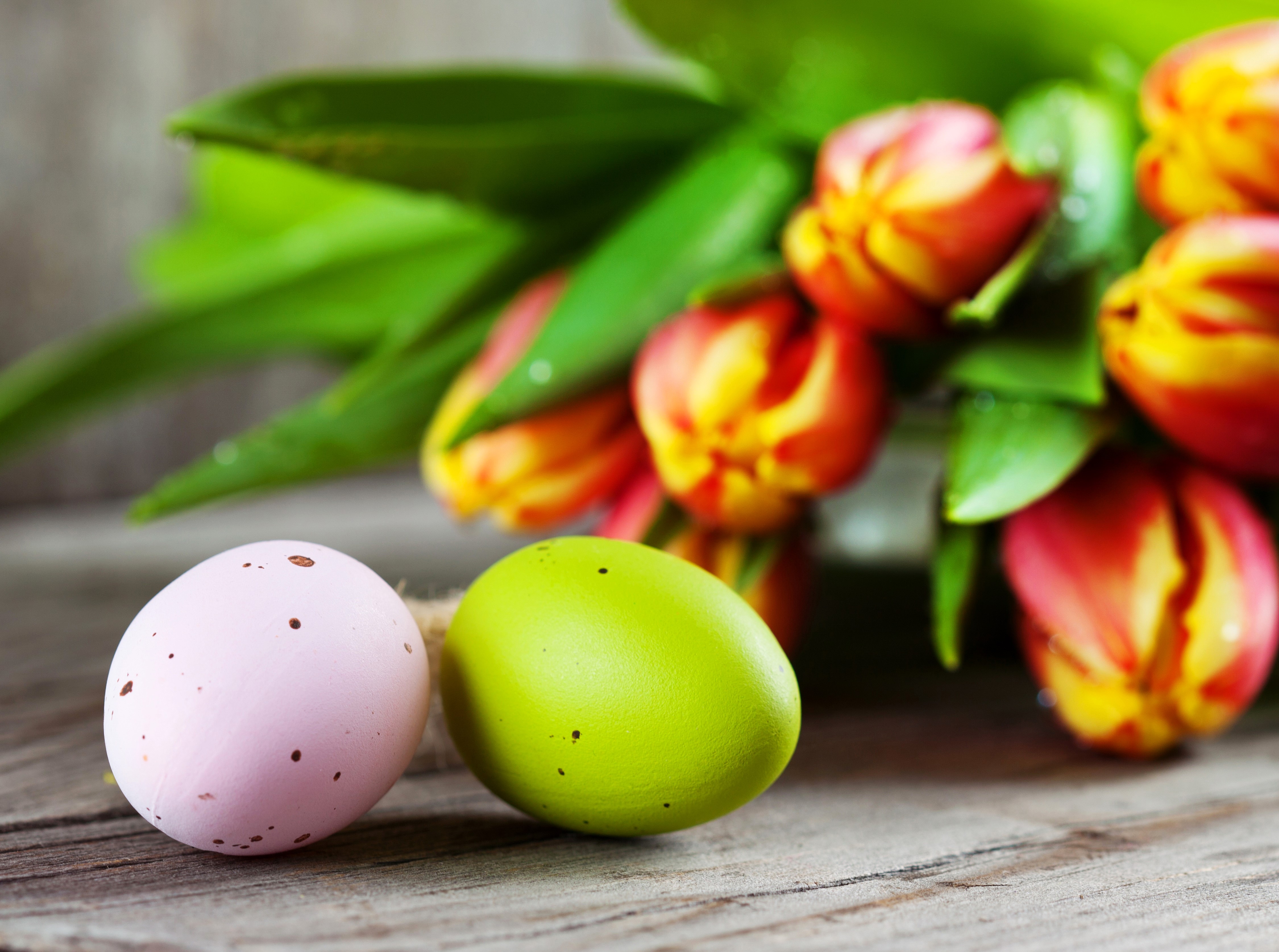 Easter Tulips and Eggs on Wood HD Wallpaper