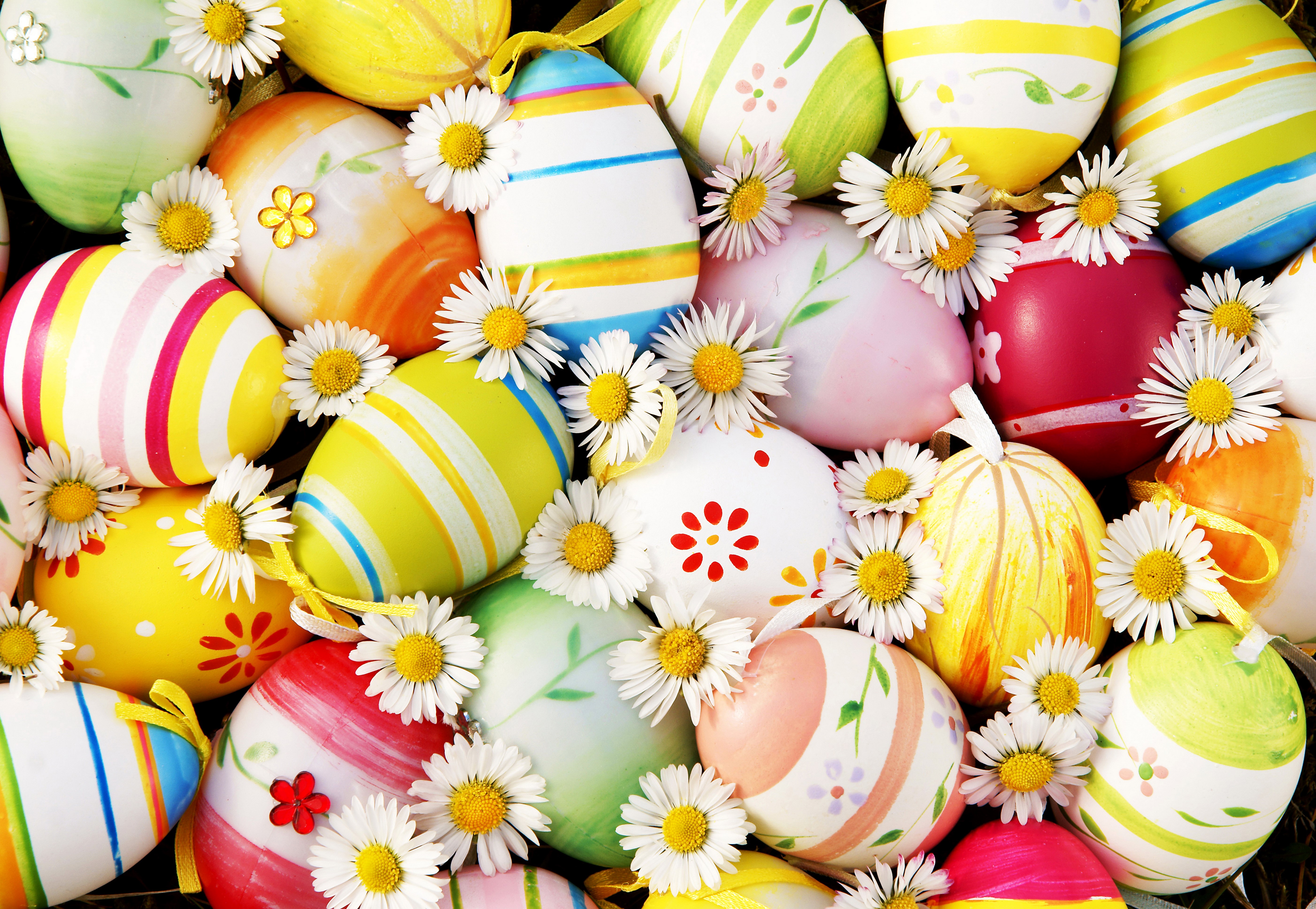 Easter Eggs with Camomiles HD Wallpaper