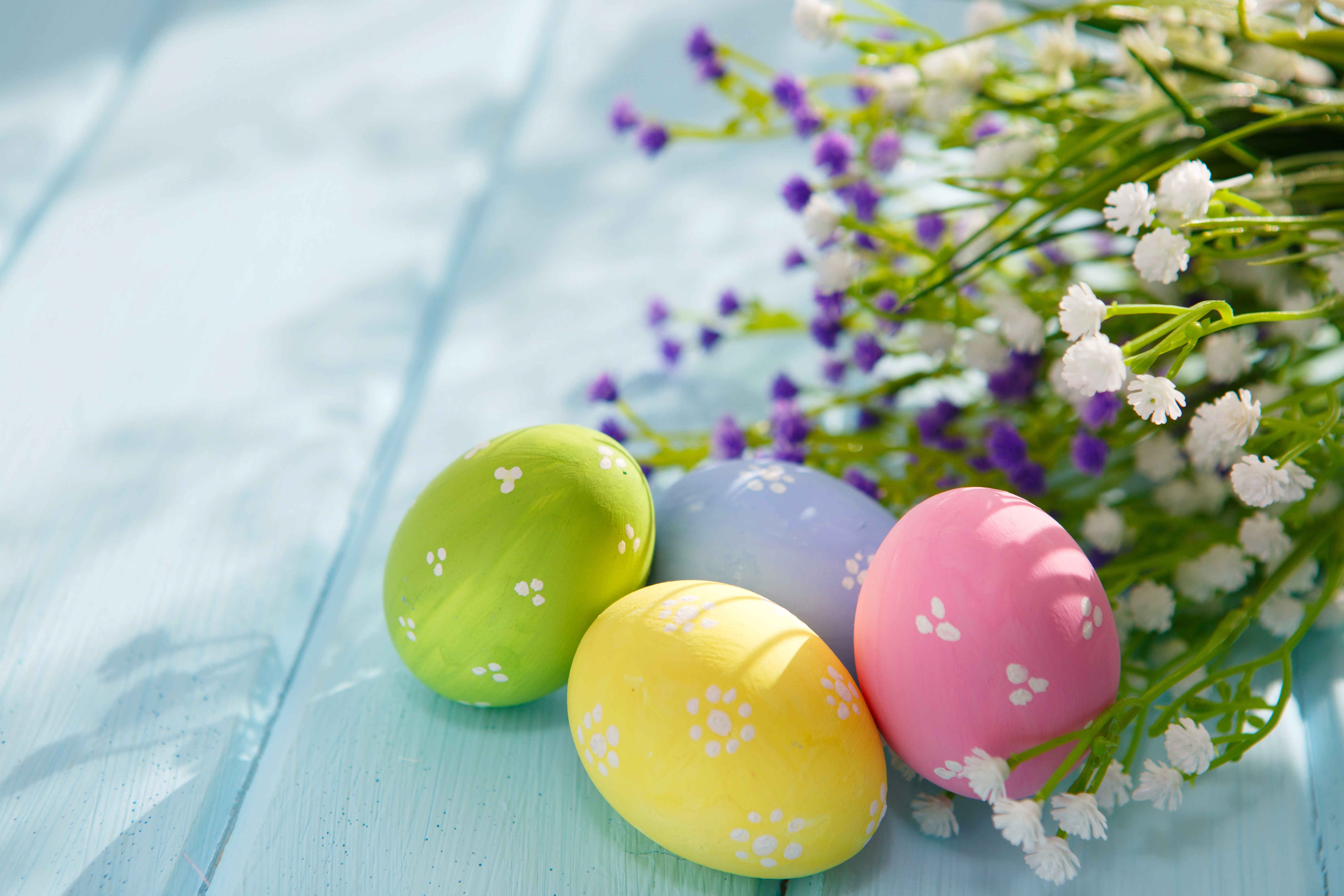 Easter Eggs with Flowers HD Wallpaper