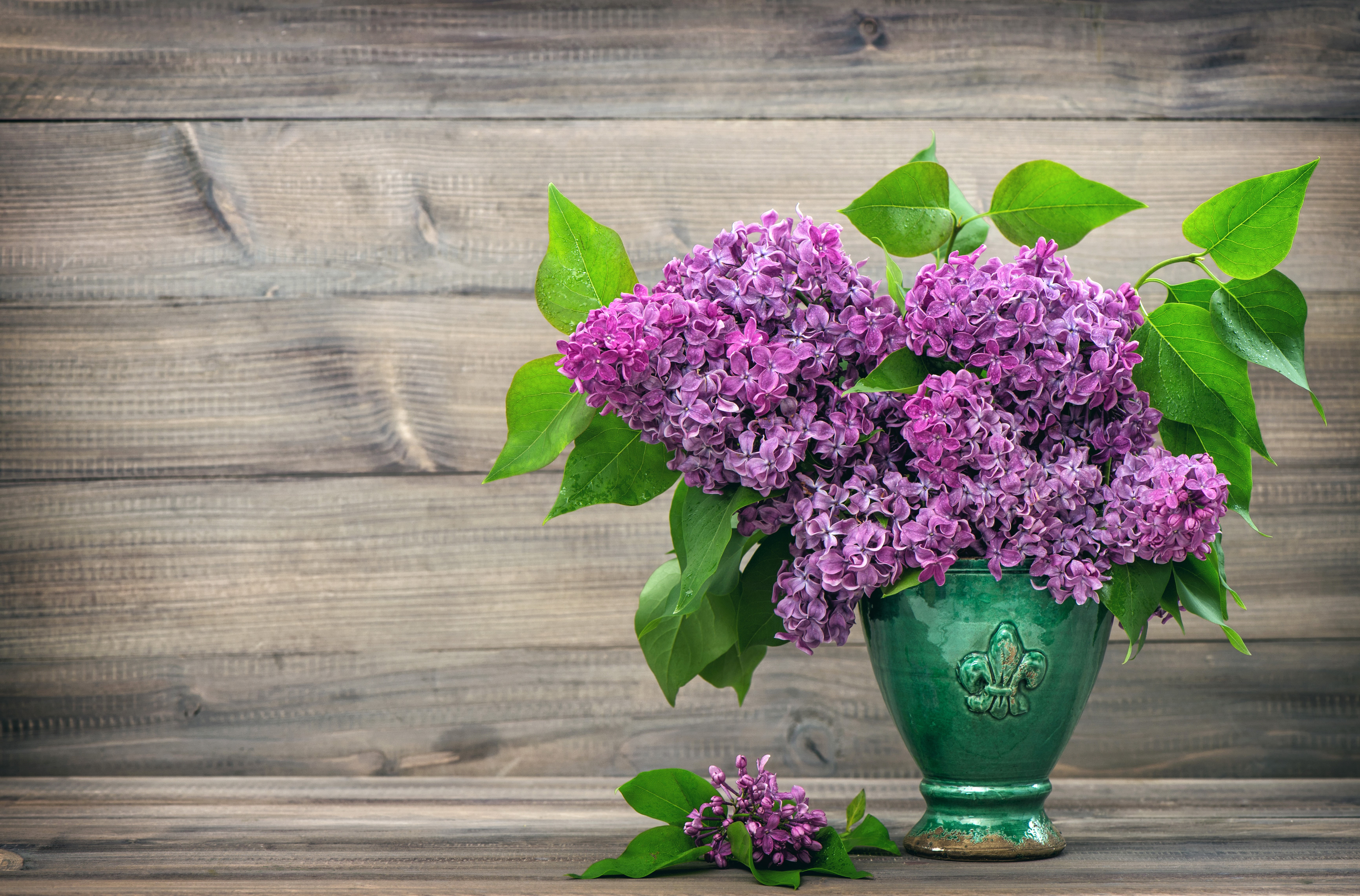 Lilac flowers in a green vase HD Wallpaper