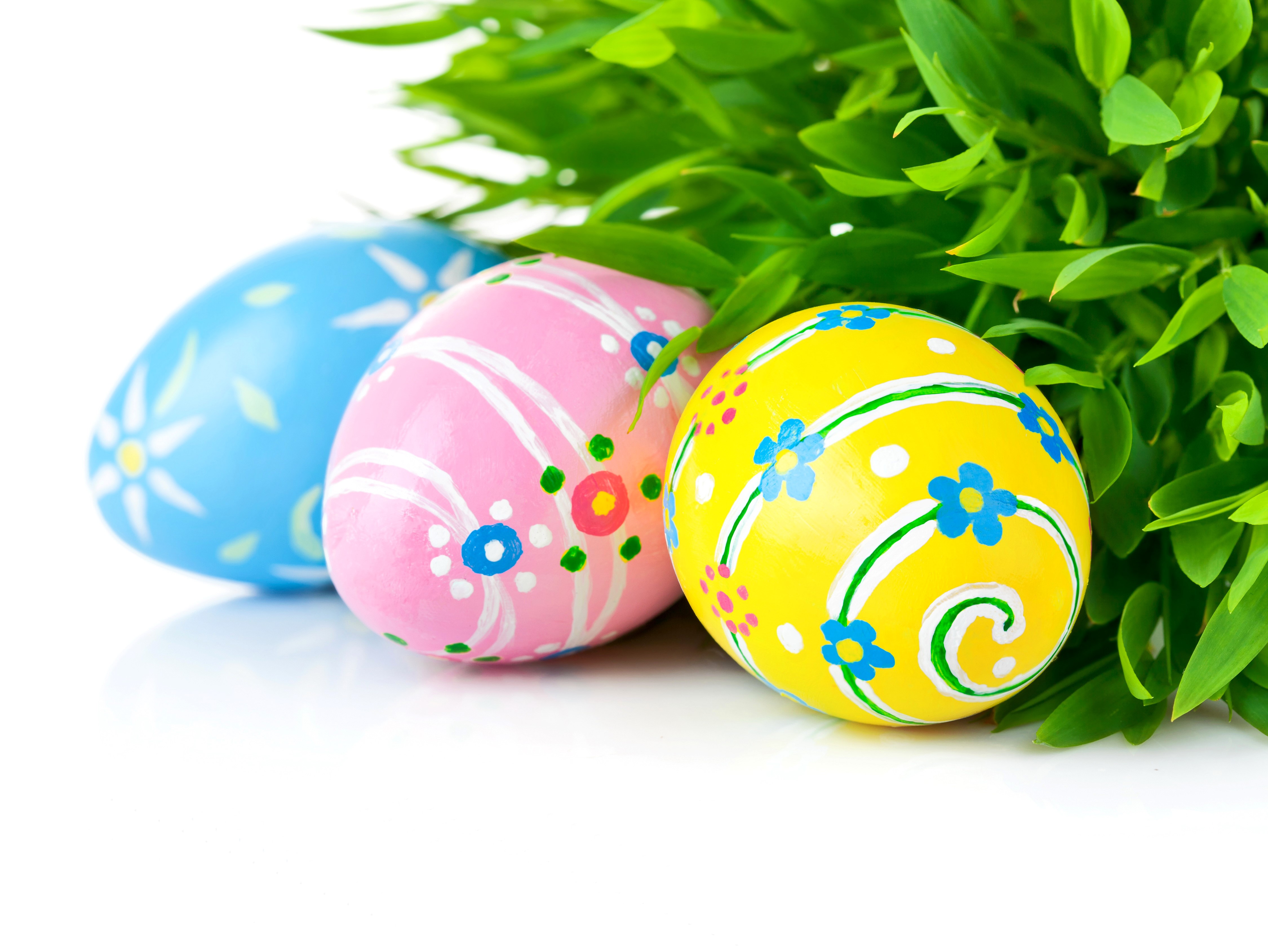 Easter Eggs with Greenery HD Wallpaper