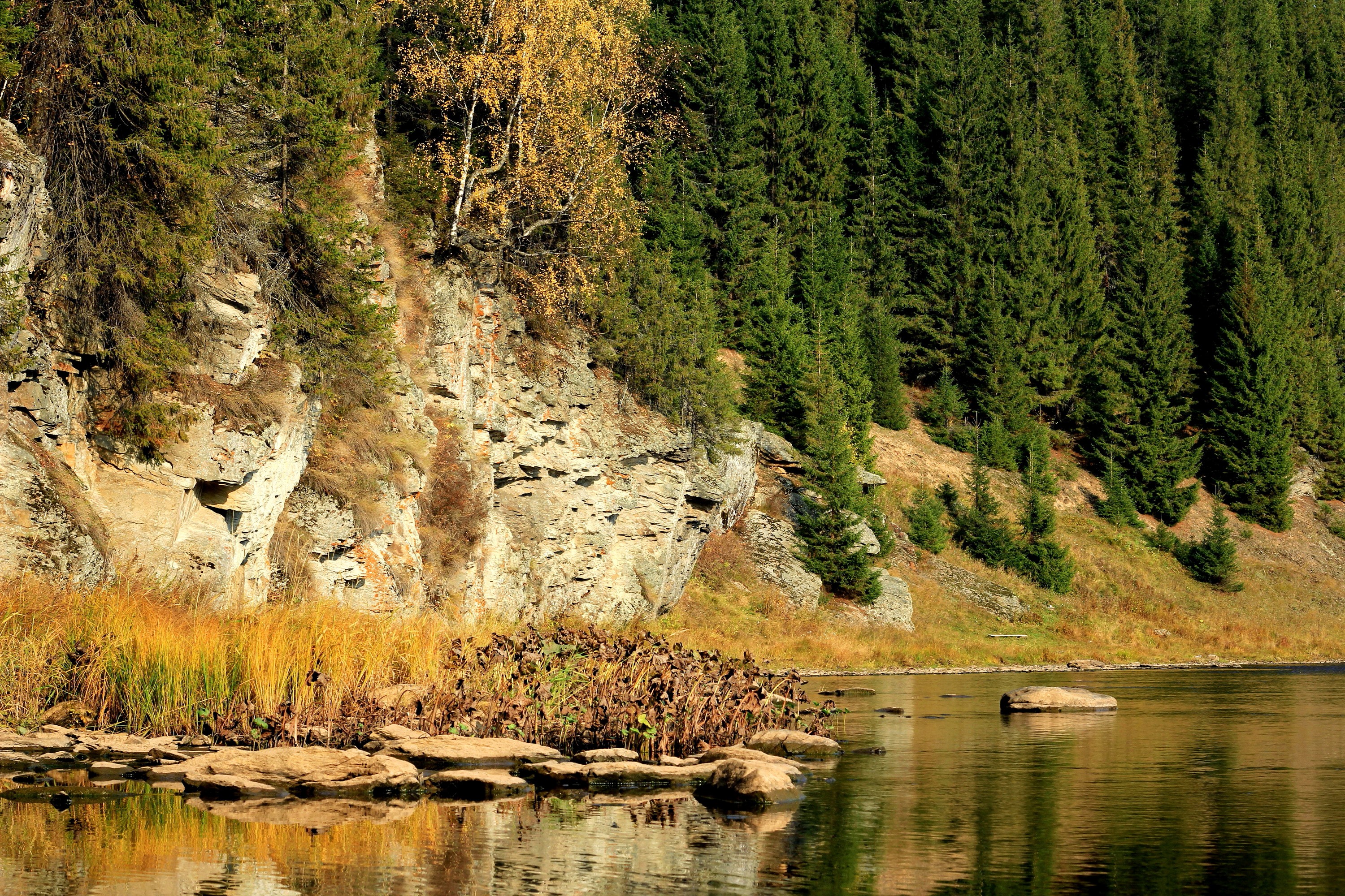 Riverbank with Rocky Cliff and Spruce Forest in Russia HD Wallpaper