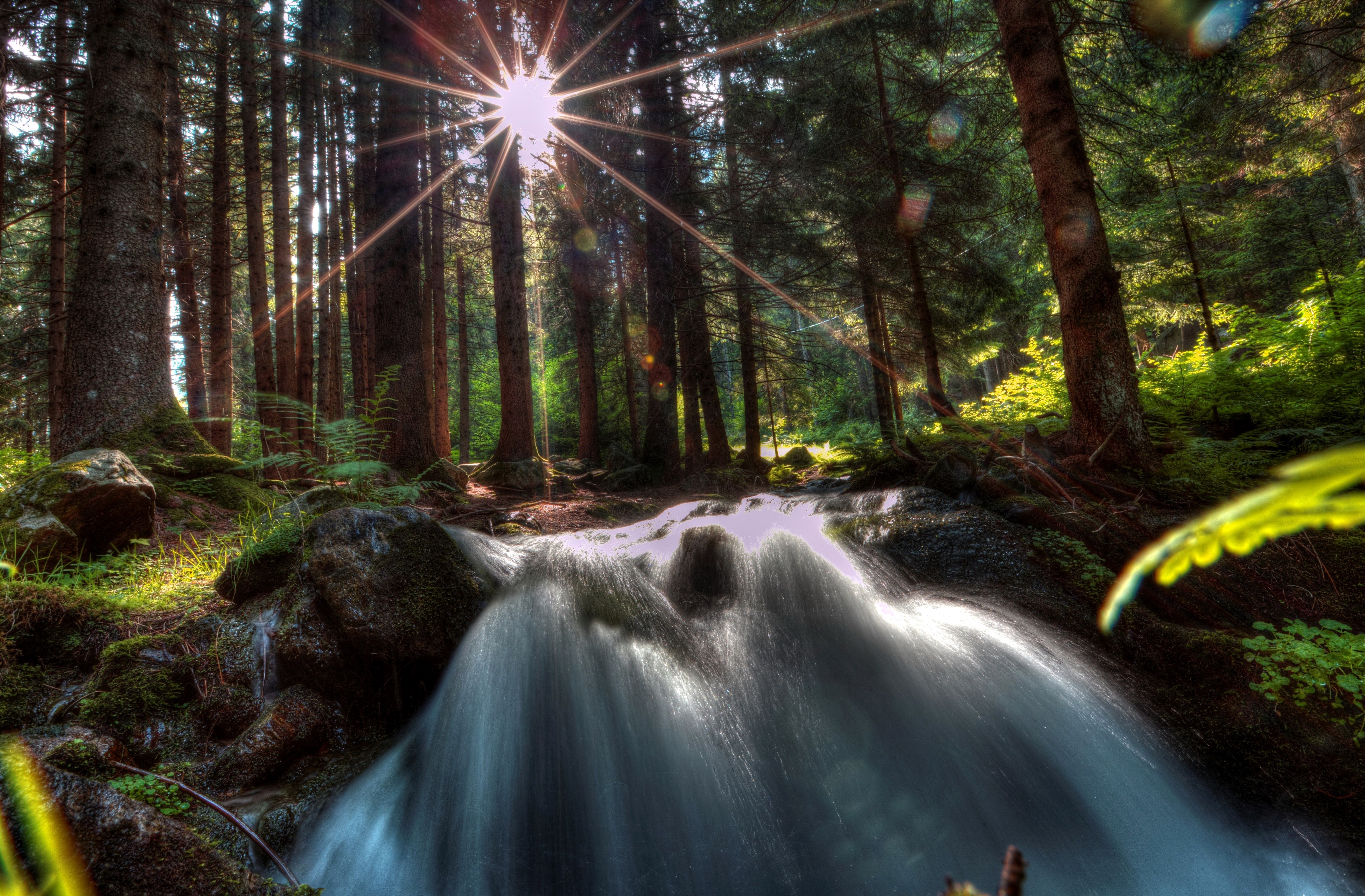Sunlight Rays Through Forest Trees onto Waterfall HD Wallpaper