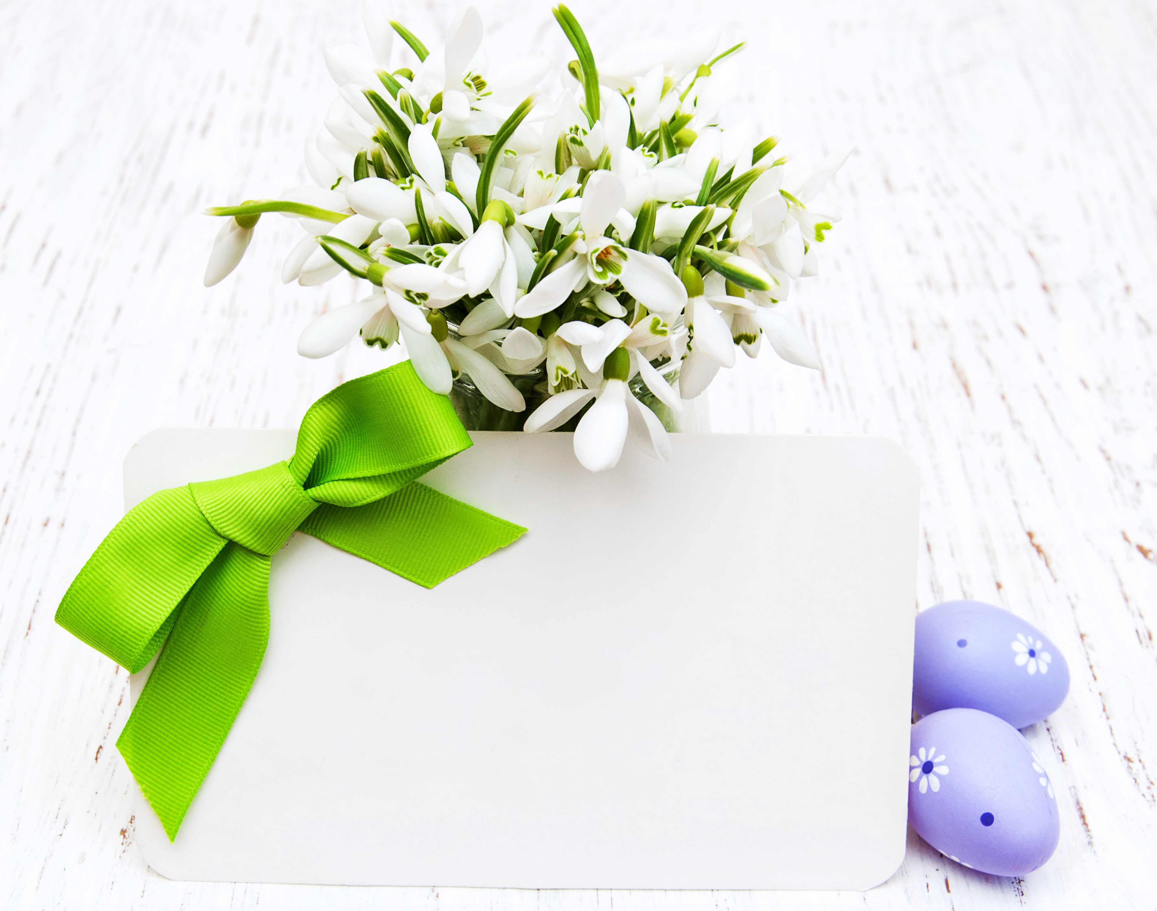 Easter Snowdrops with Card and Eggs HD Wallpaper