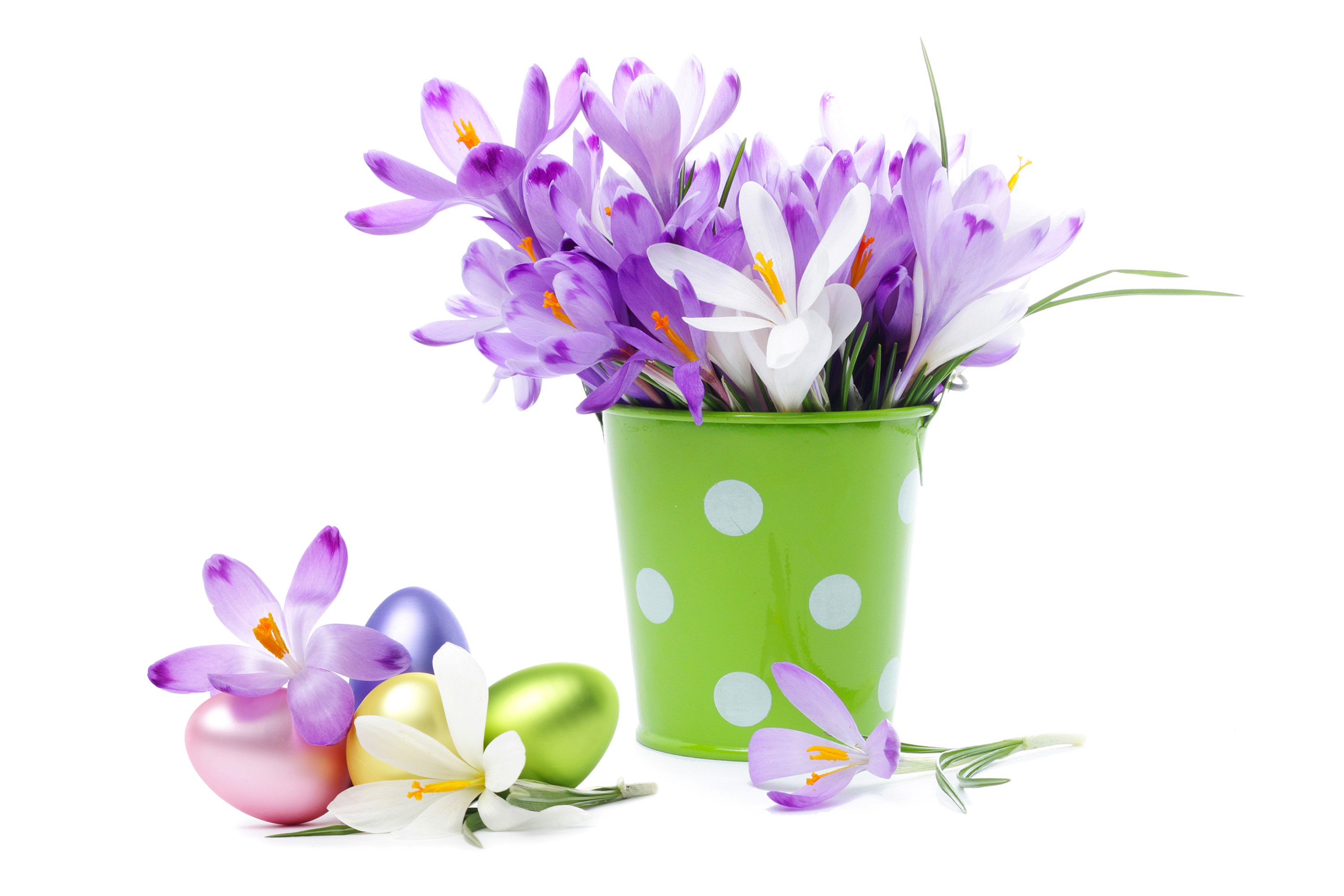 Easter Crocuses and Eggs in a Green Pot HD Wallpaper