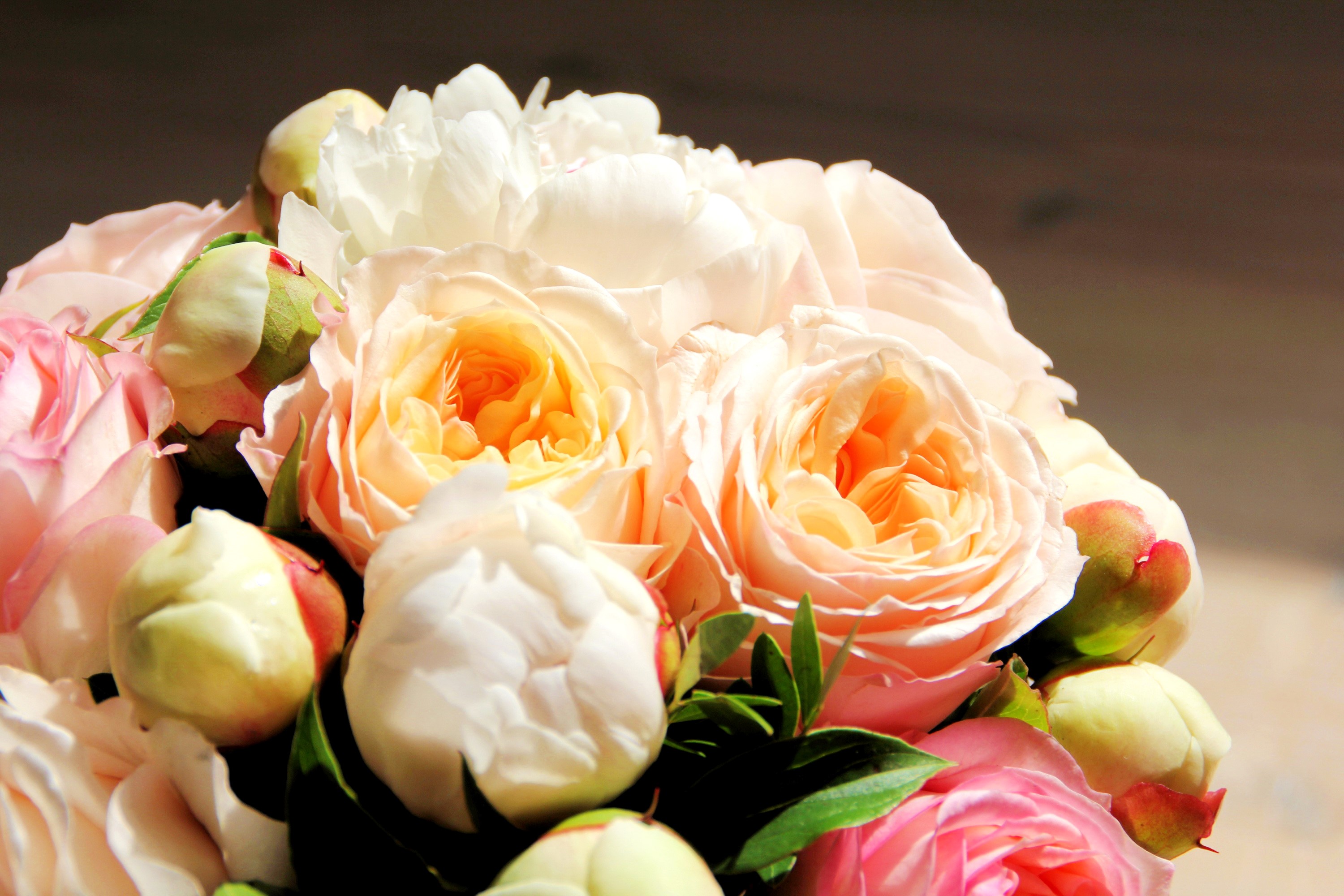Close-up of a bouquet of pink and white roses and peonies HD Wallpaper