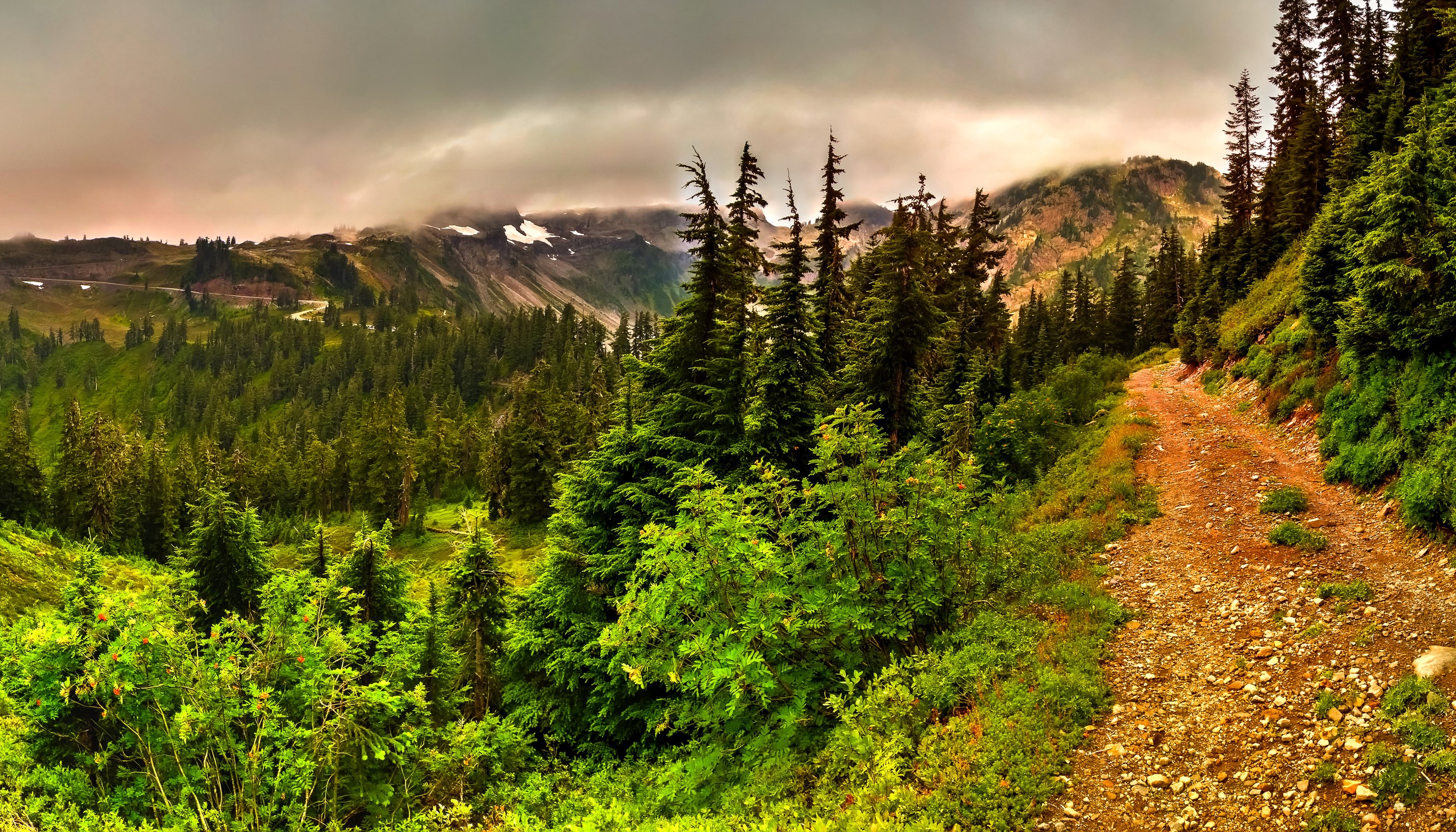 Mountainous forest with a dirt road HD Wallpaper
