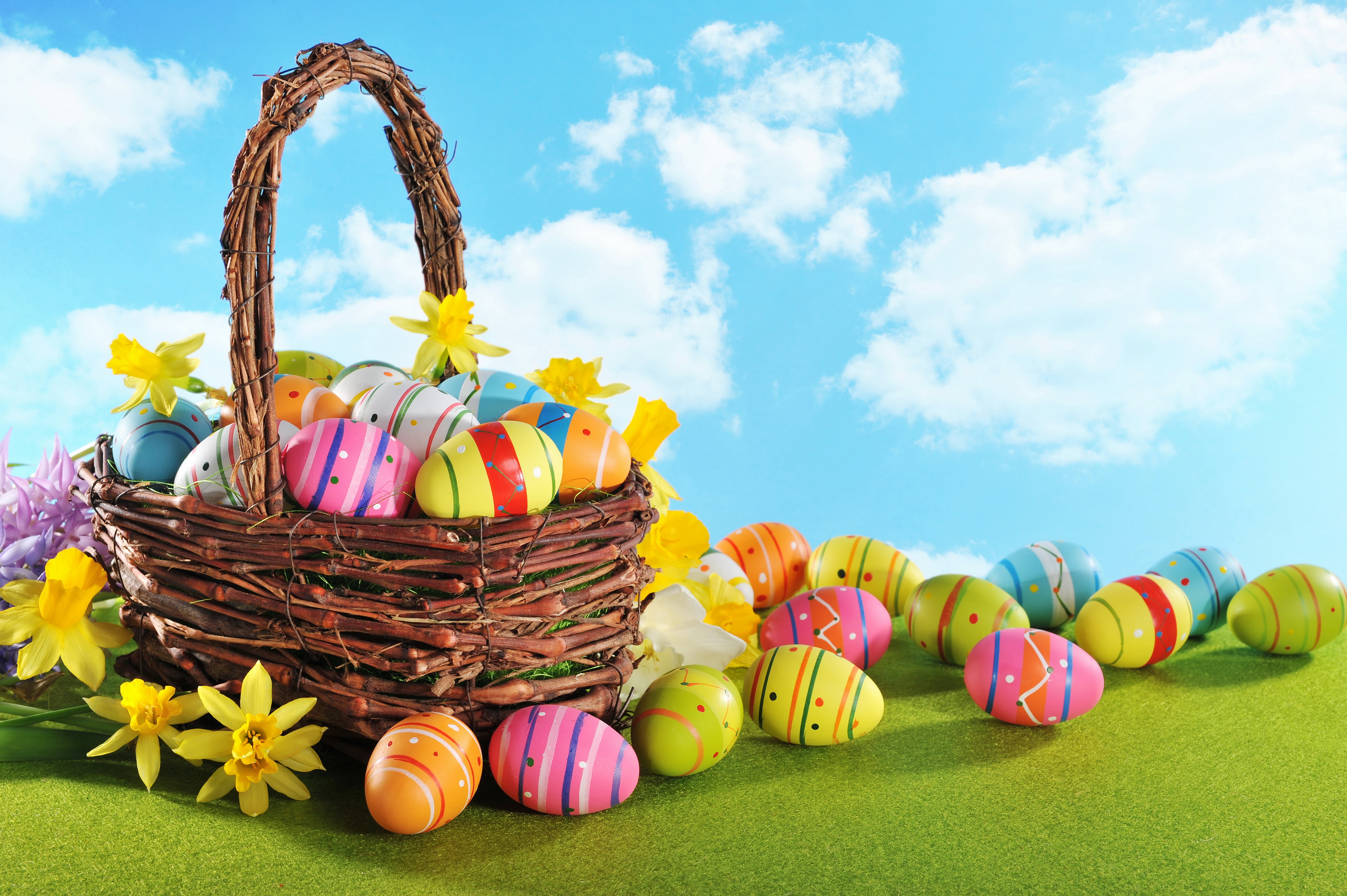 Easter eggs and daffodils in a wicker basket HD Wallpaper
