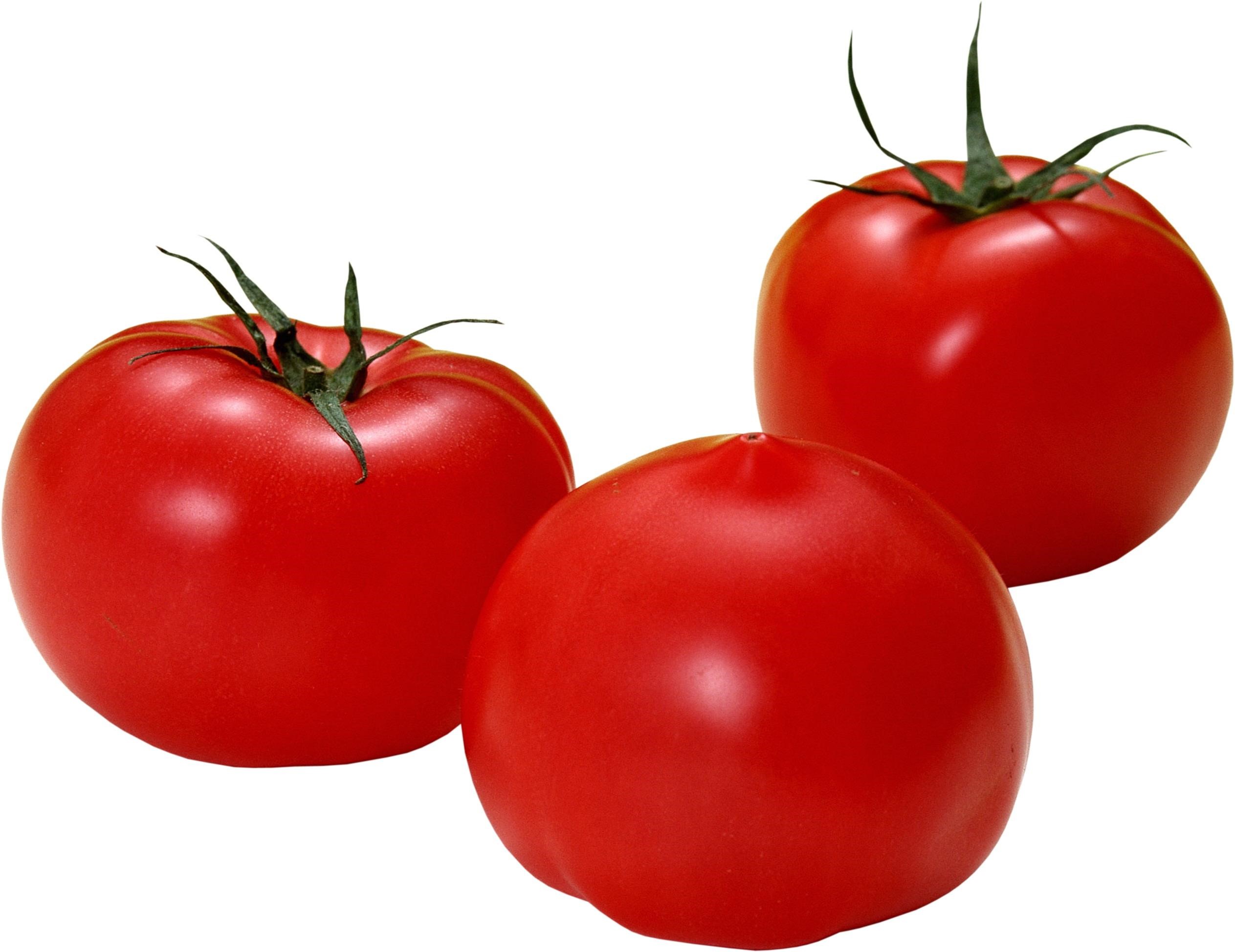 Three red tomatoes on a white background HD Wallpaper
