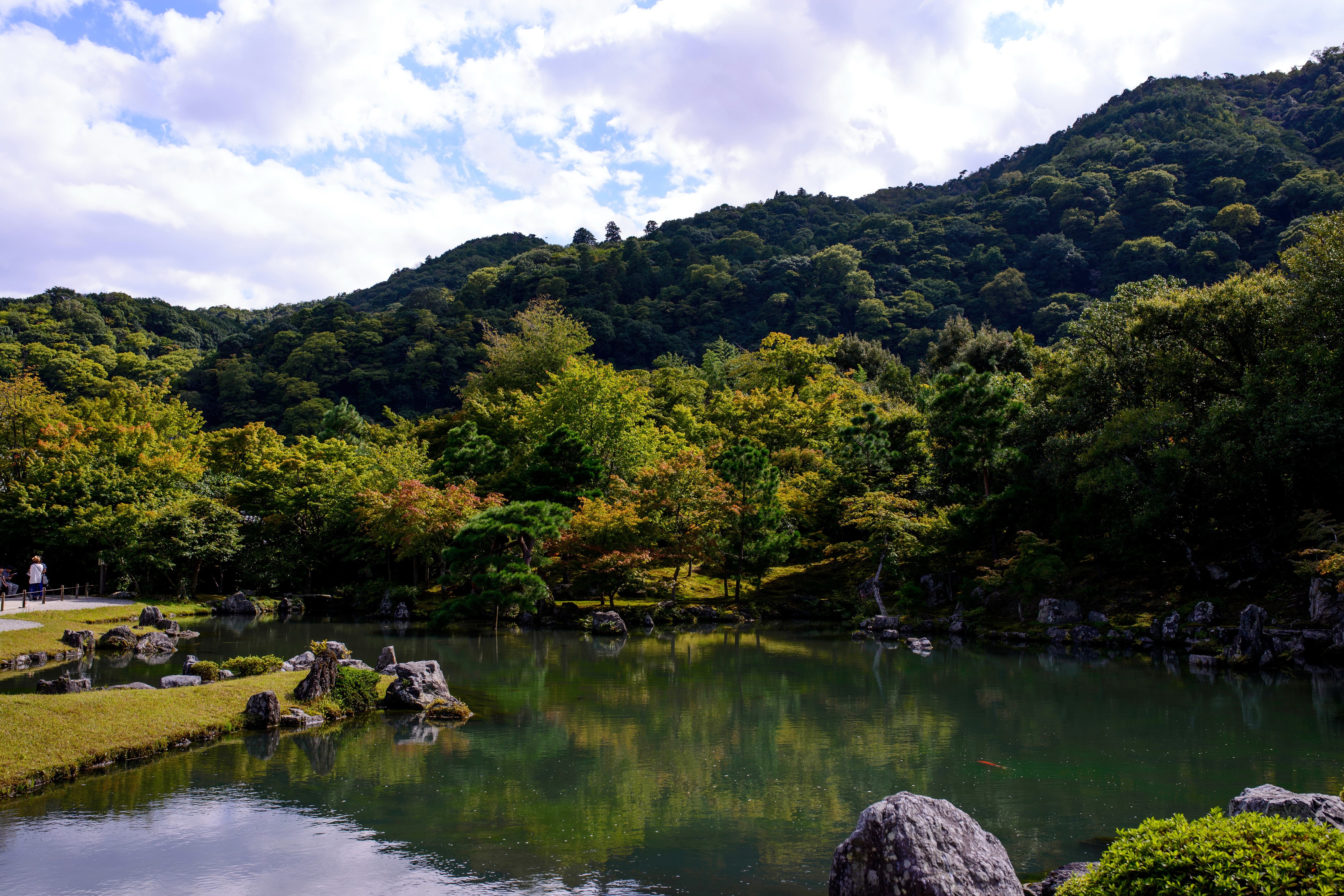 Japanese Garden with Pond and Forested Hillside HD Wallpaper