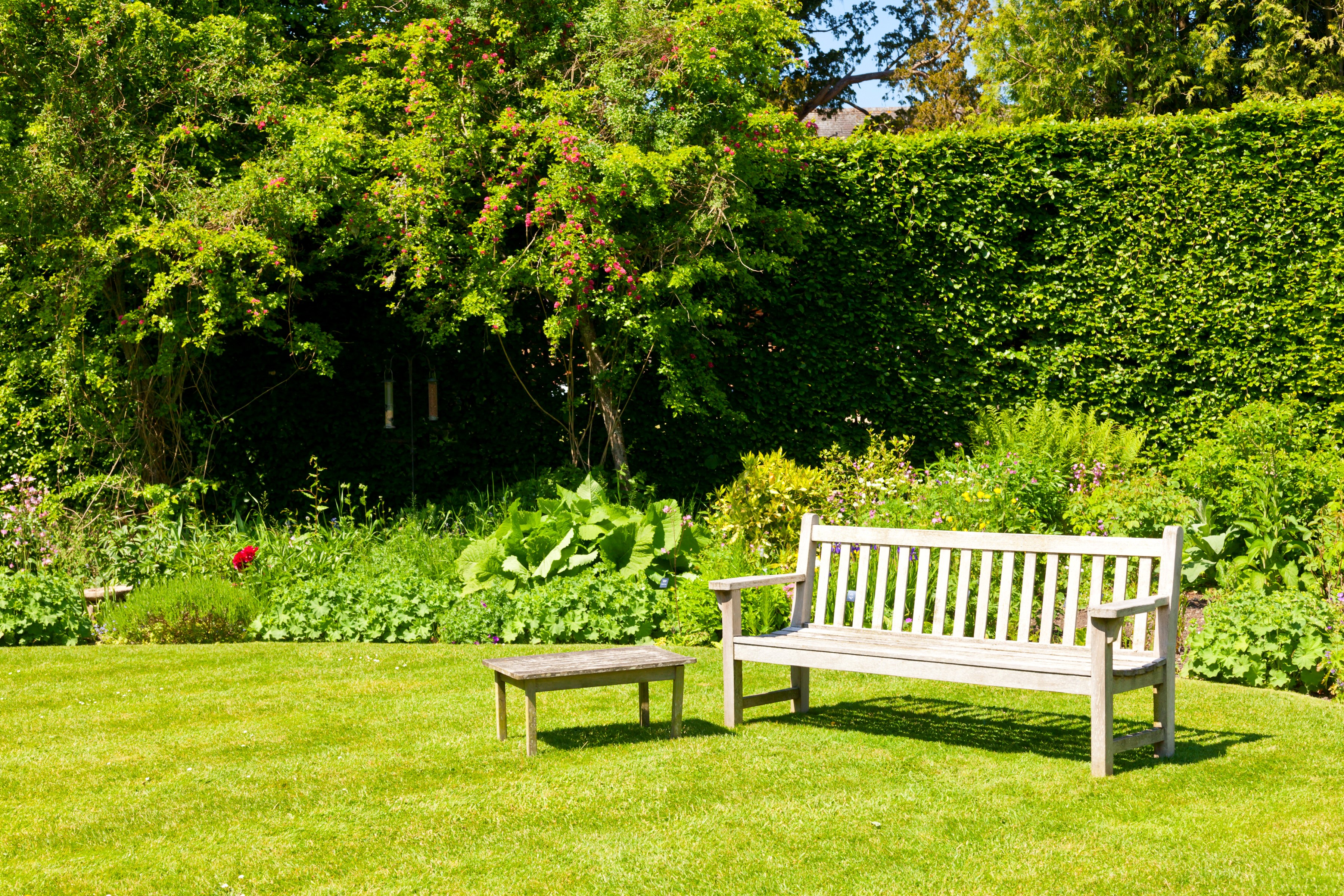 Garden bench and table on a lawn with trees and hedges HD Wallpaper