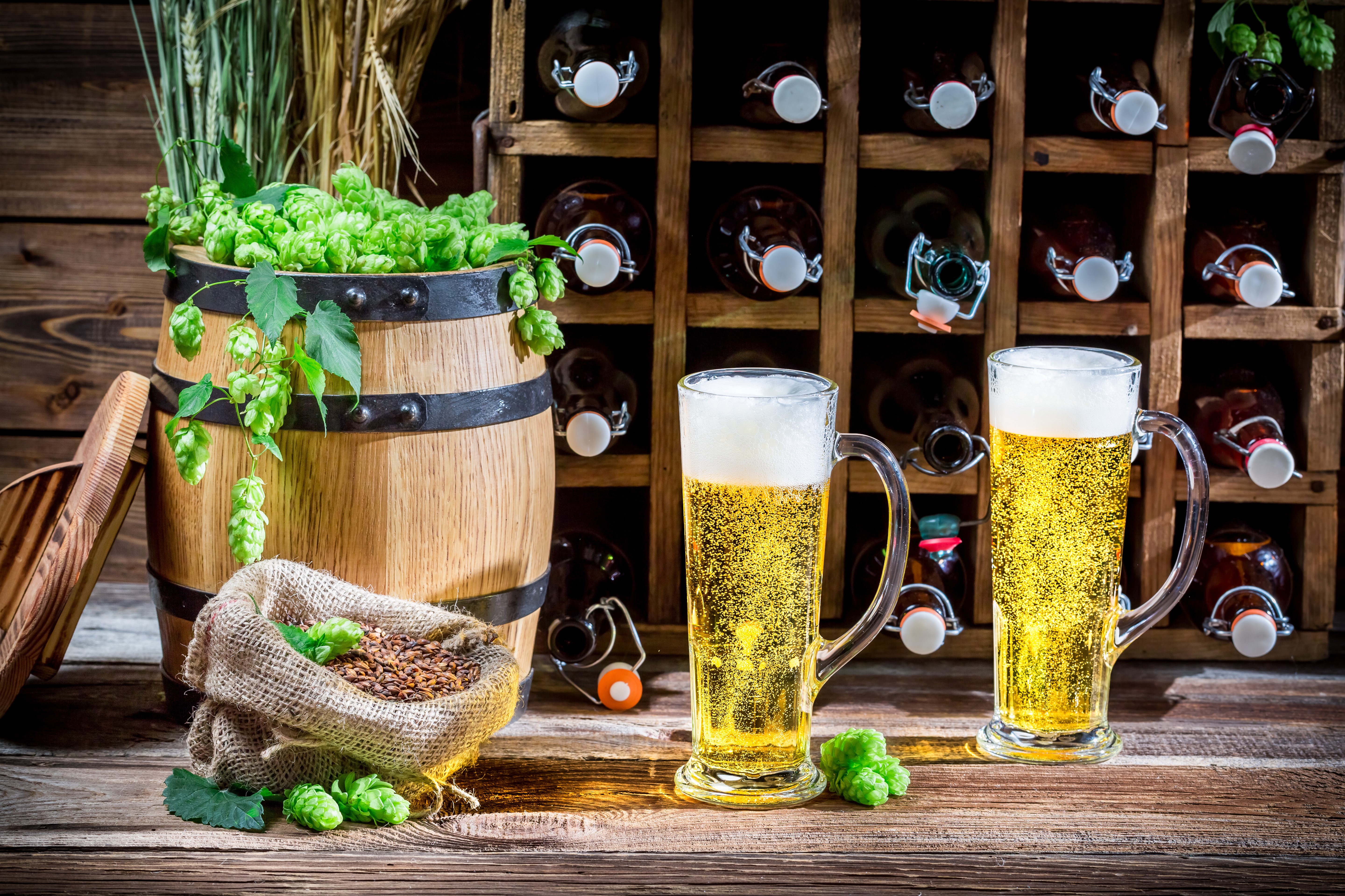 Beer barrel with hops and mugs of beer HD Wallpaper