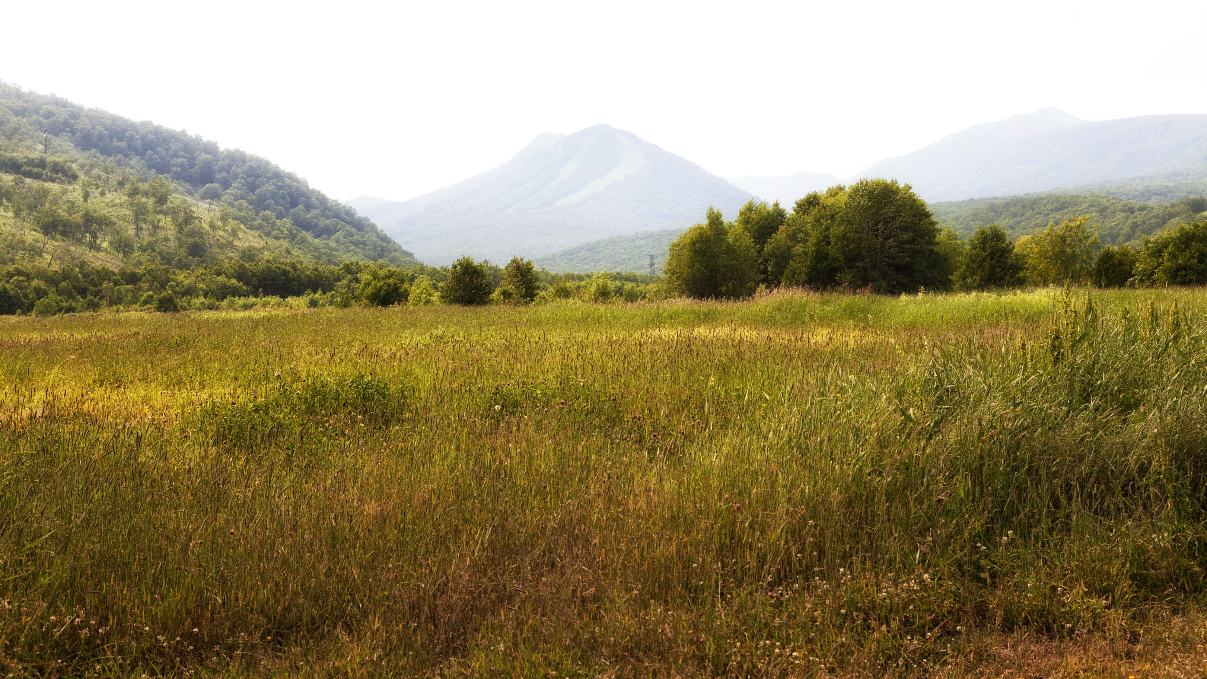 4K Russia Fields Mountains Grass HD Wallpaper