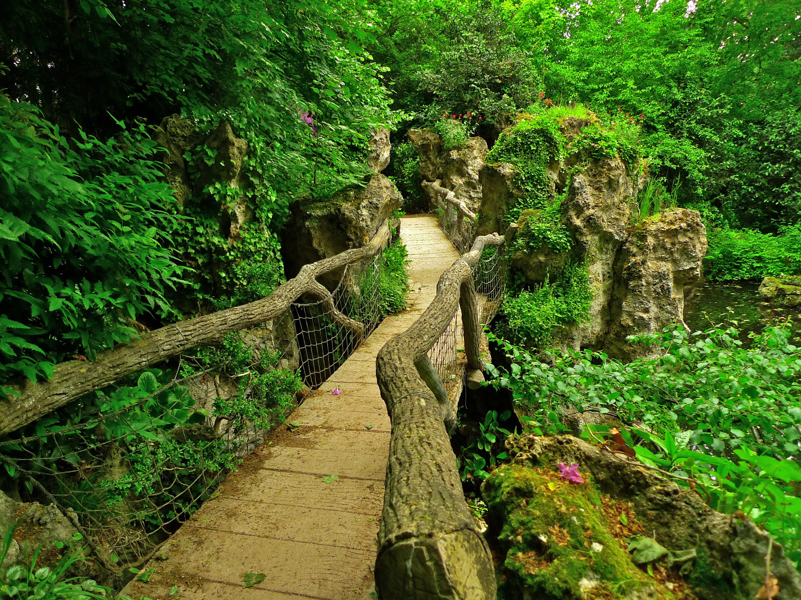 Albert-Kahn Japanese Gardens bridge in France HD Wallpaper
