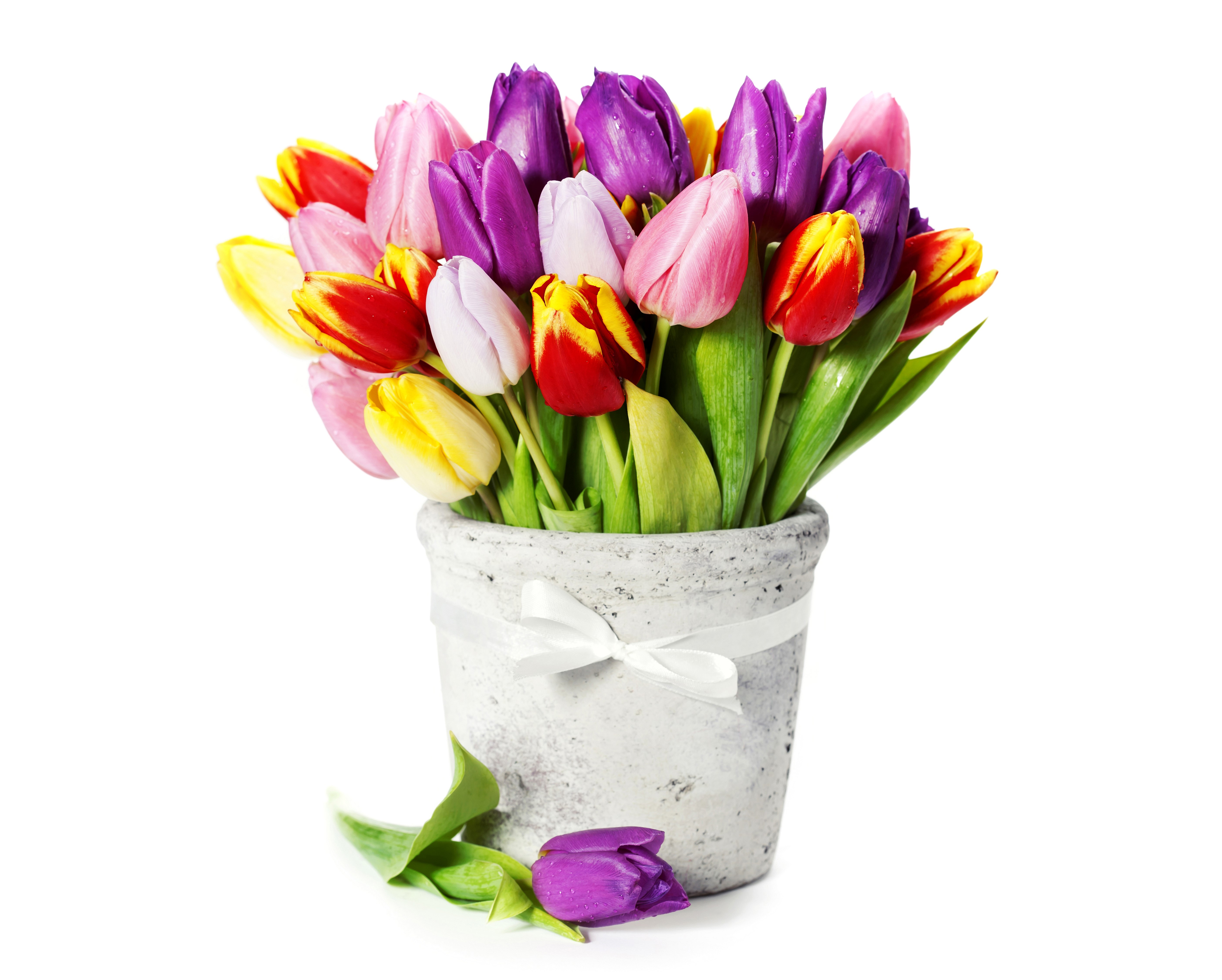 A bouquet of colorful tulips in a pot HD Wallpaper