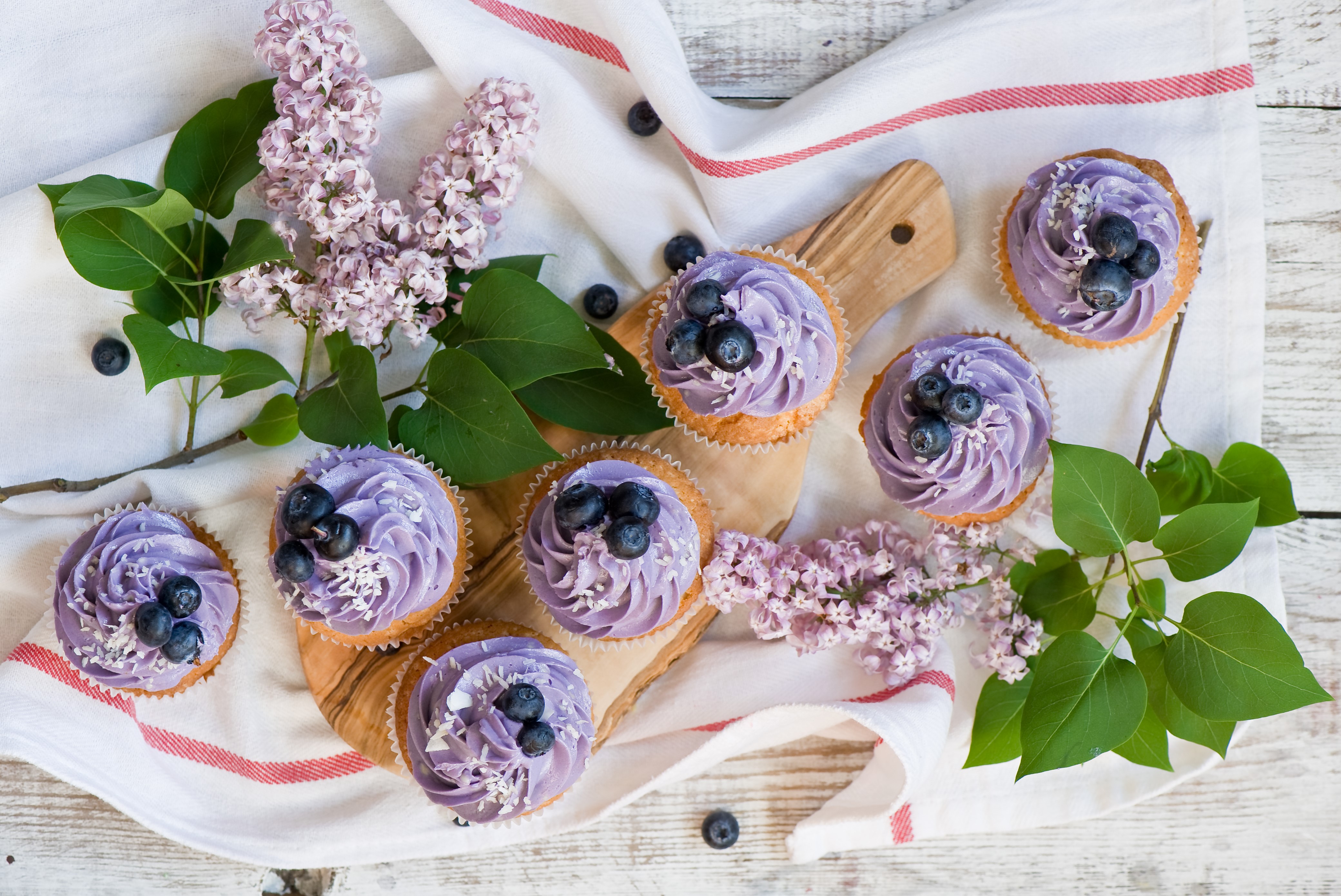 Blueberry cupcakes with lilac and blueberries HD Wallpaper