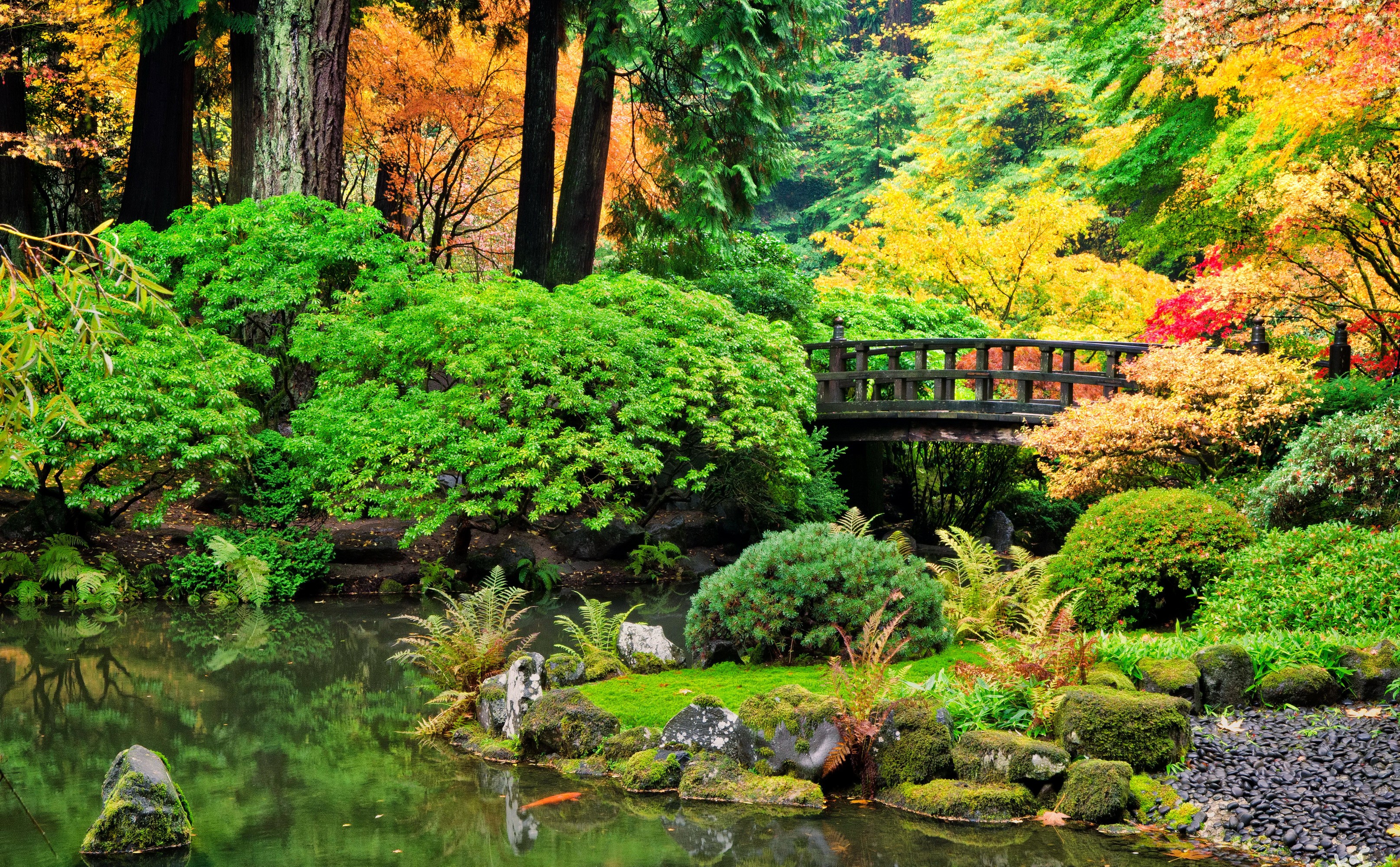 Japanese Garden with Pond and Bridge in Autumn HD Wallpaper
