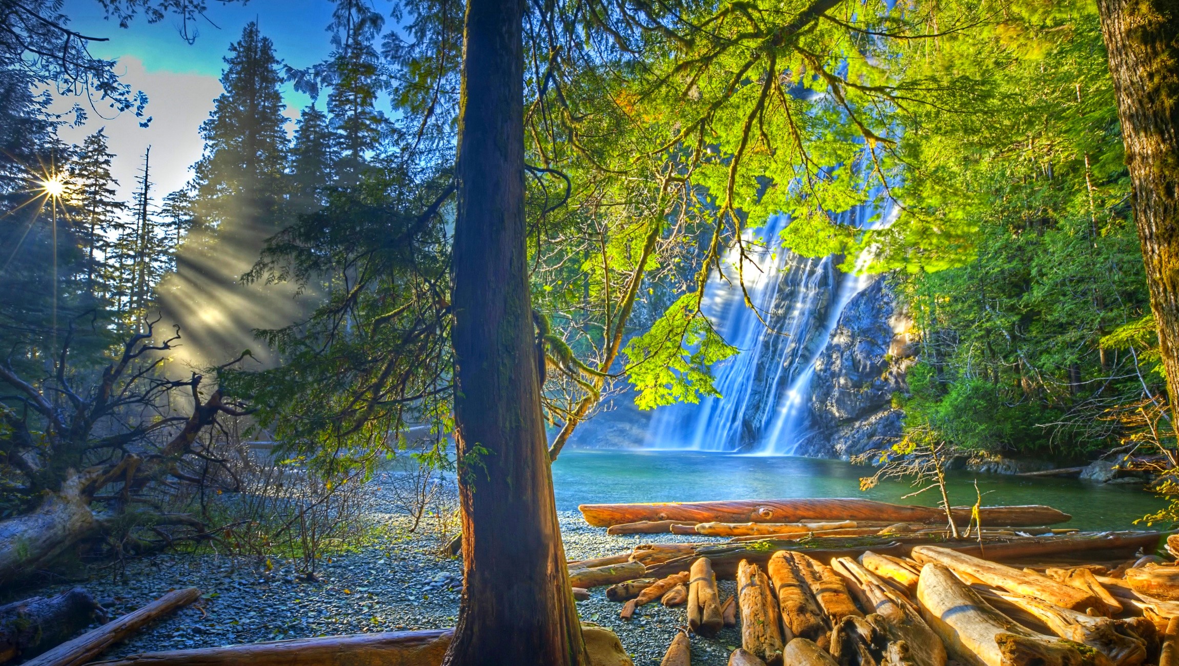 Waterfall in a forest with sun rays and driftwood HD Wallpaper