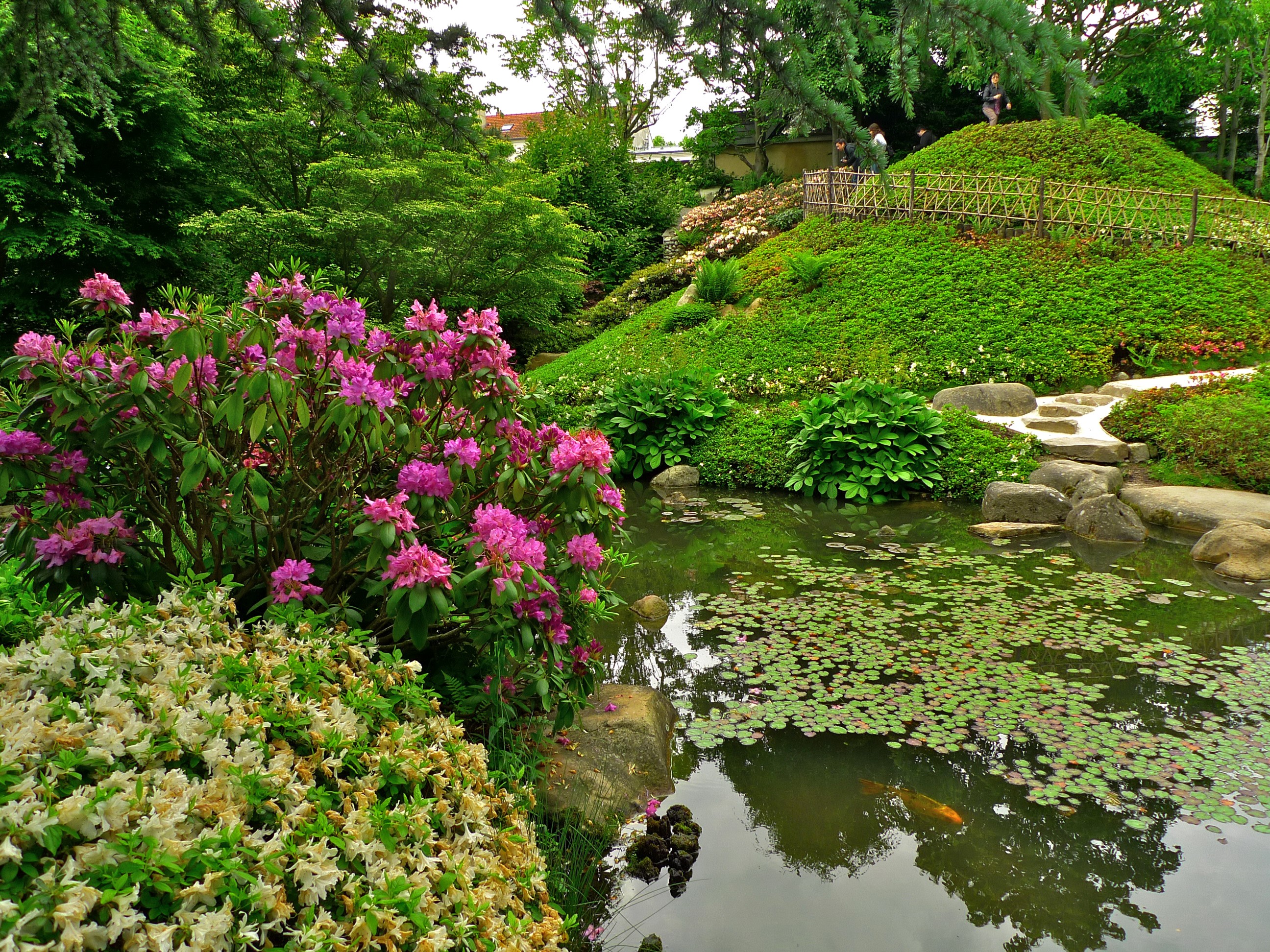 Albert-Kahn Japanese Gardens, France HD Wallpaper